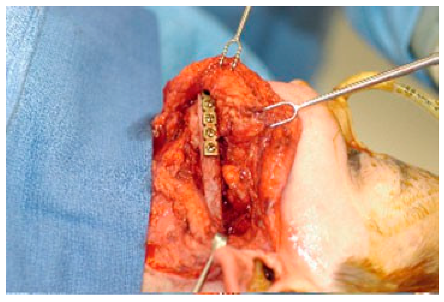 Cmtr 02 00012 g002 Cmtr 02 00012 g002