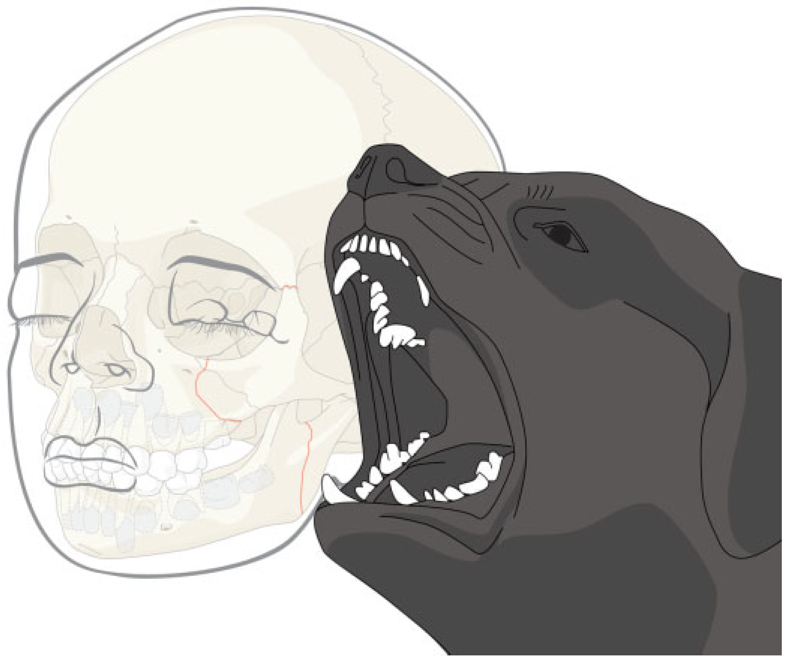 Cmtr 06 00022 g001 Cmtr 06 00022 g001