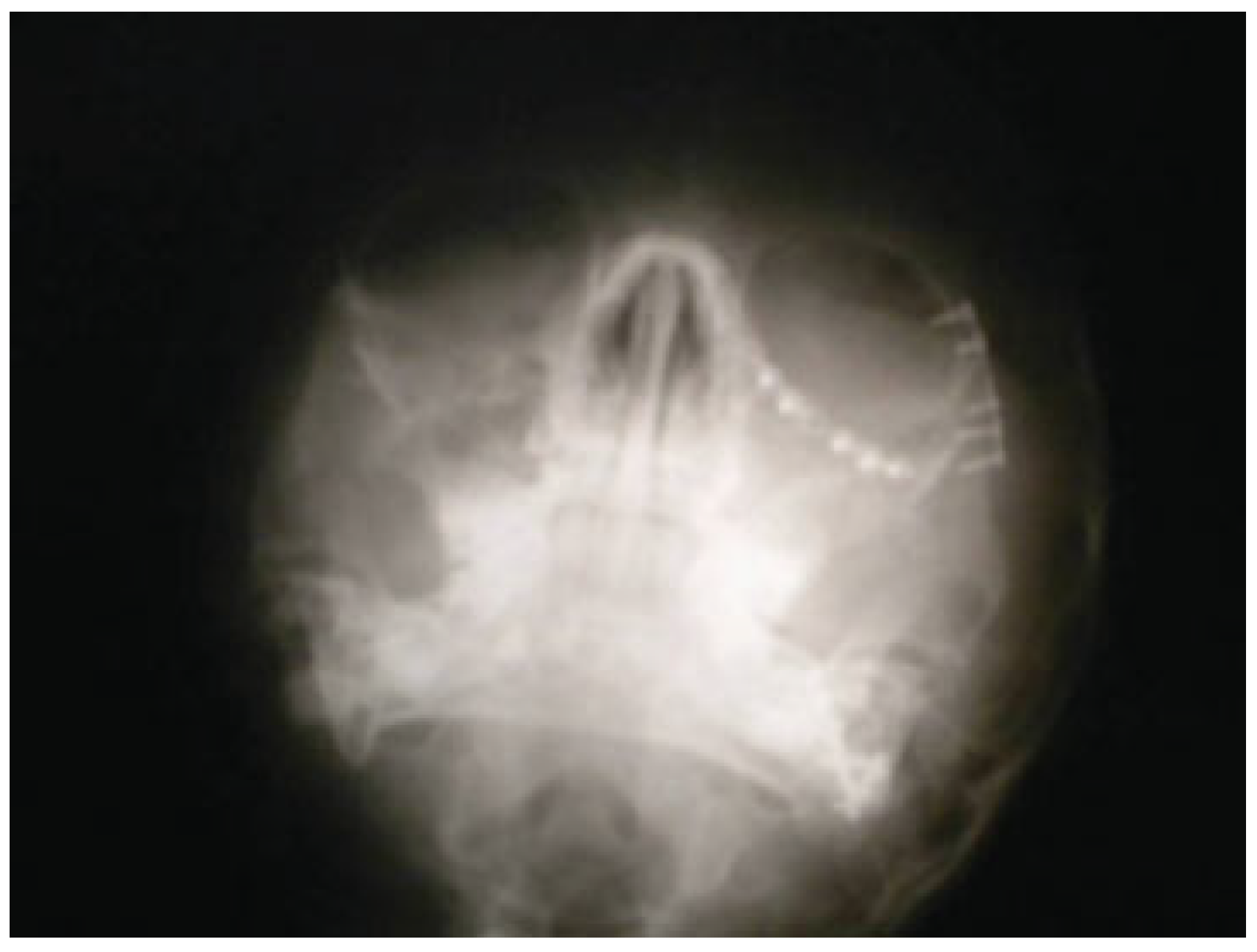 Cmtr 06 00022 g009 Cmtr 06 00022 g009