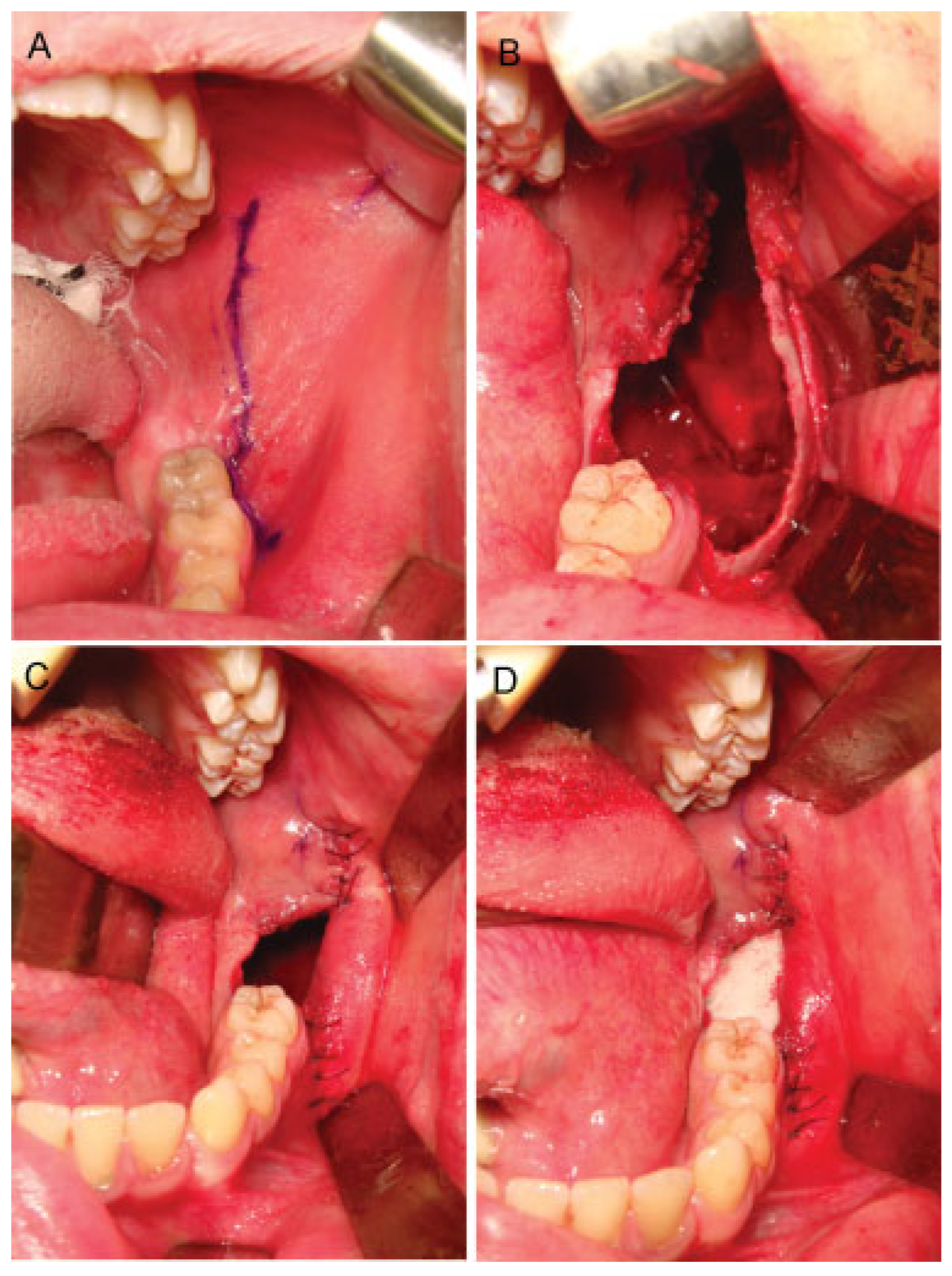 Cmtr 07 00034 g003 Cmtr 07 00034 g003