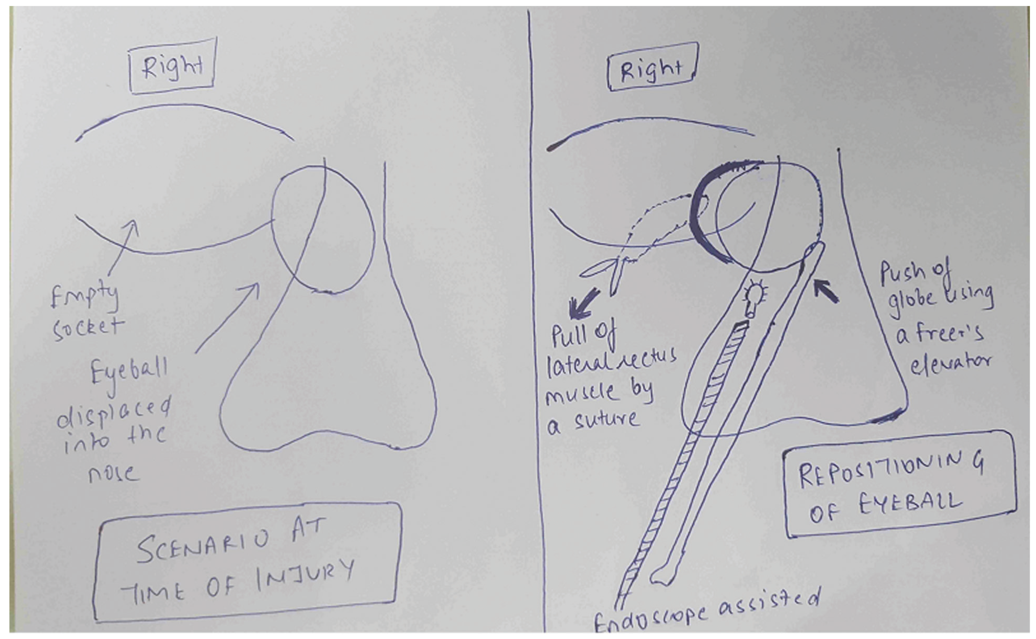 Cmtr 10 00014 g004 Cmtr 10 00014 g004