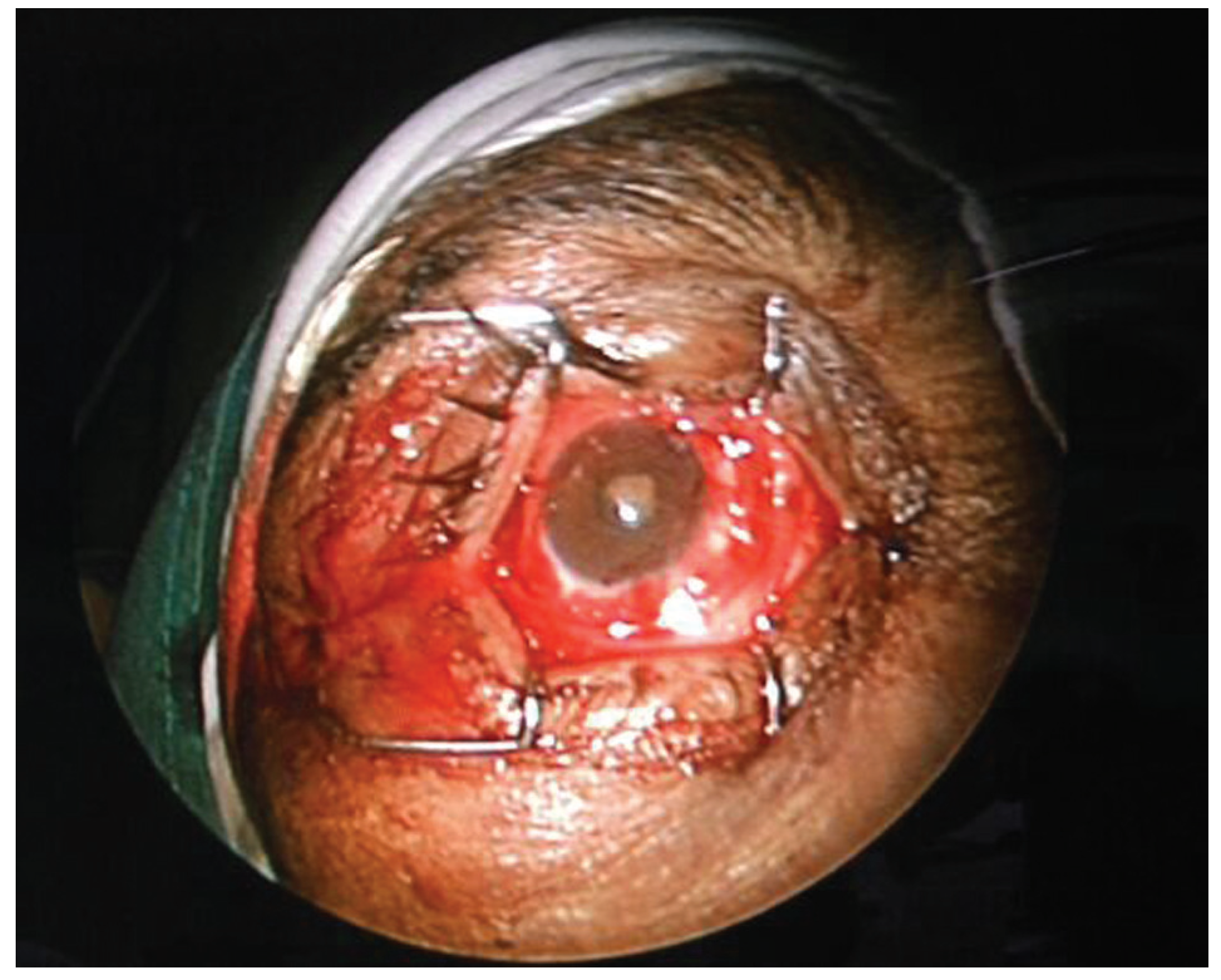 Cmtr 10 00014 g005 Cmtr 10 00014 g005