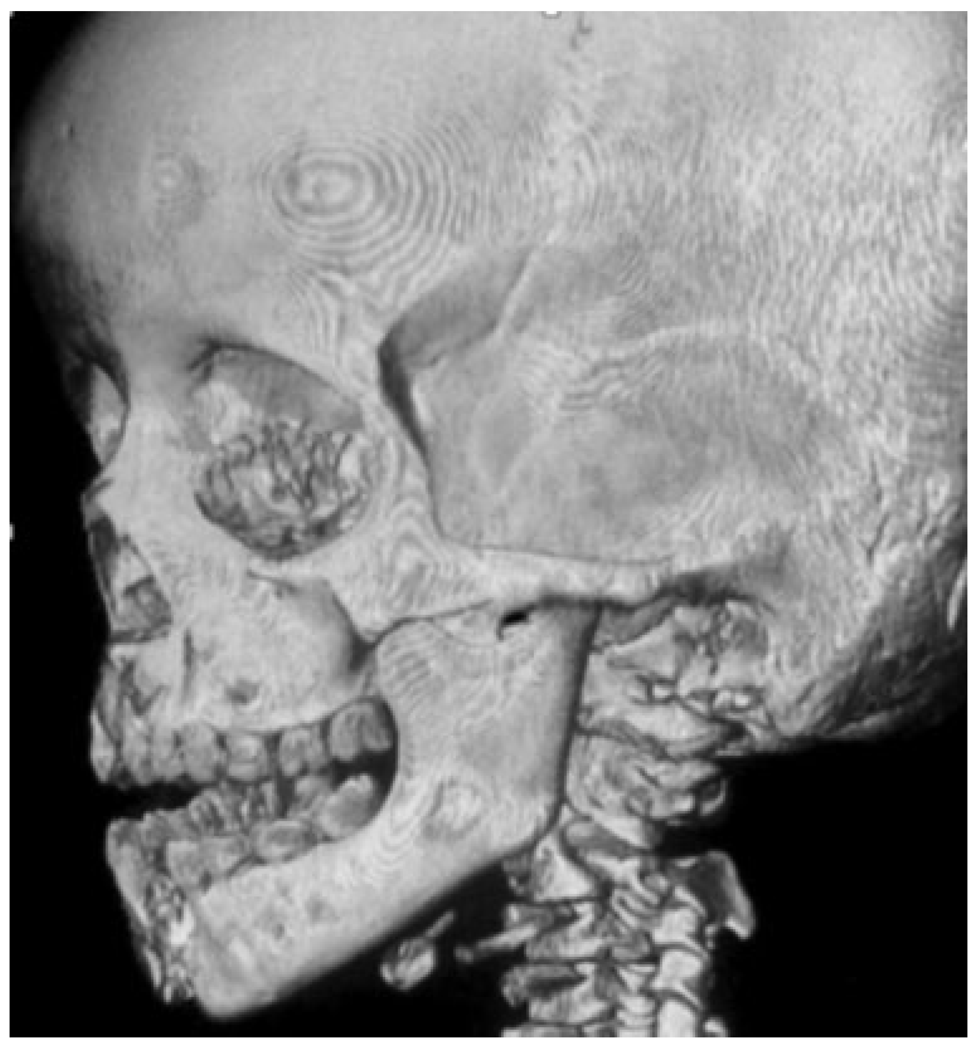 Cmtr 12 00035 g002 Cmtr 12 00035 g002