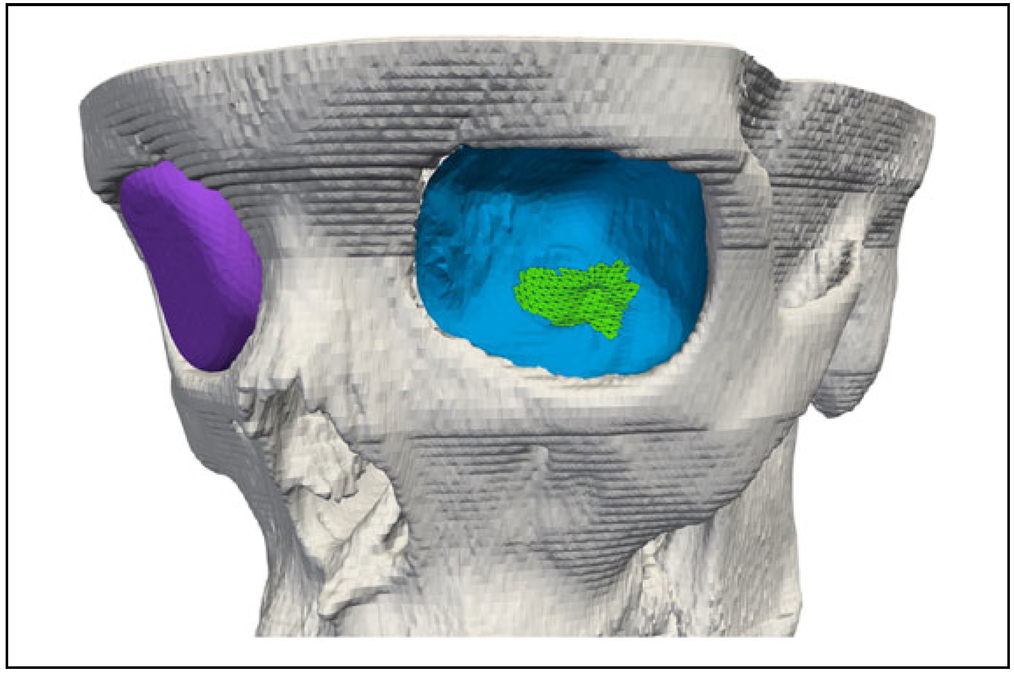 Cmtr 14 00032 g002 Cmtr 14 00032 g002