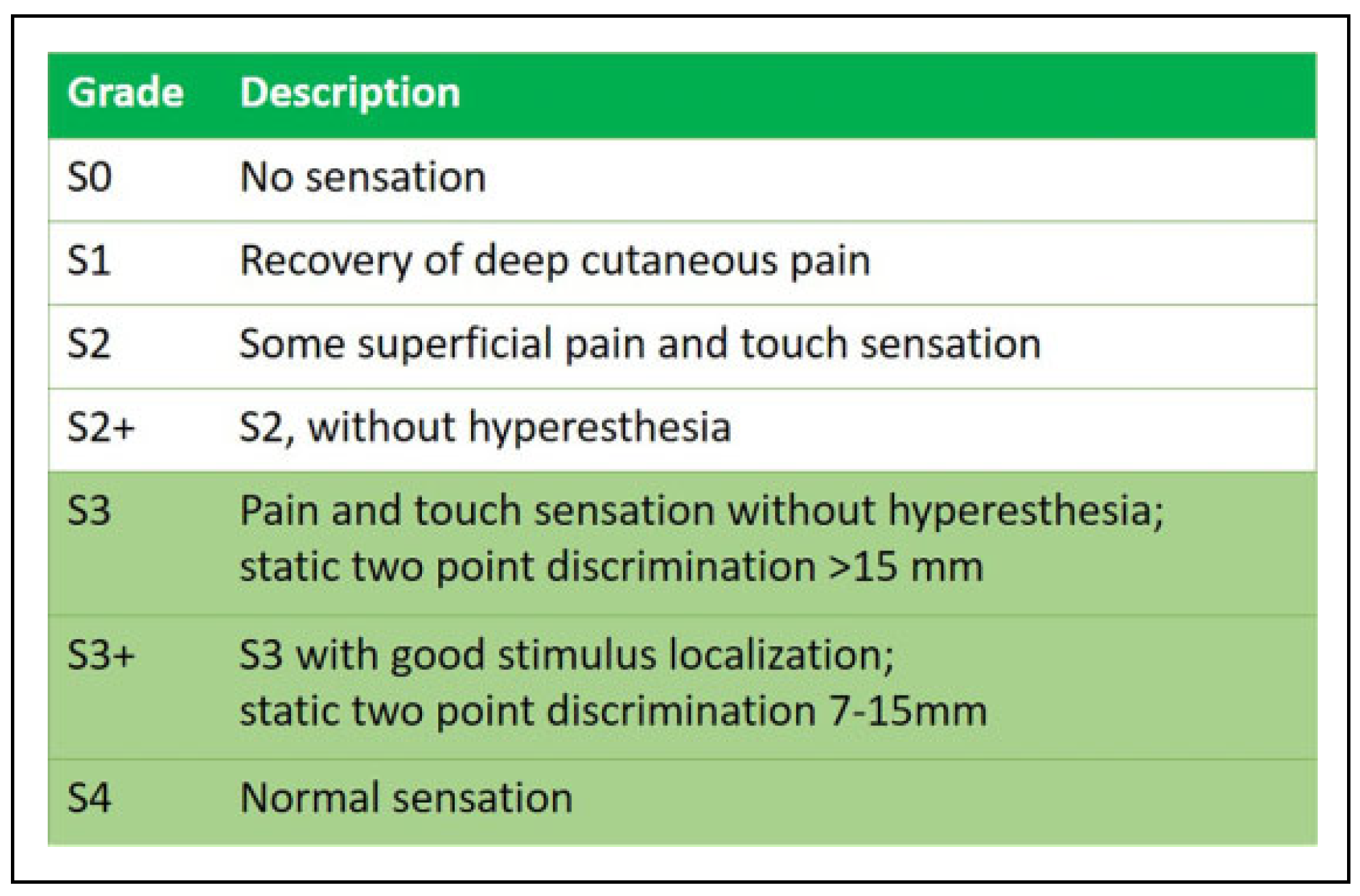 Cmtr 14 00049 g001 Cmtr 14 00049 g001