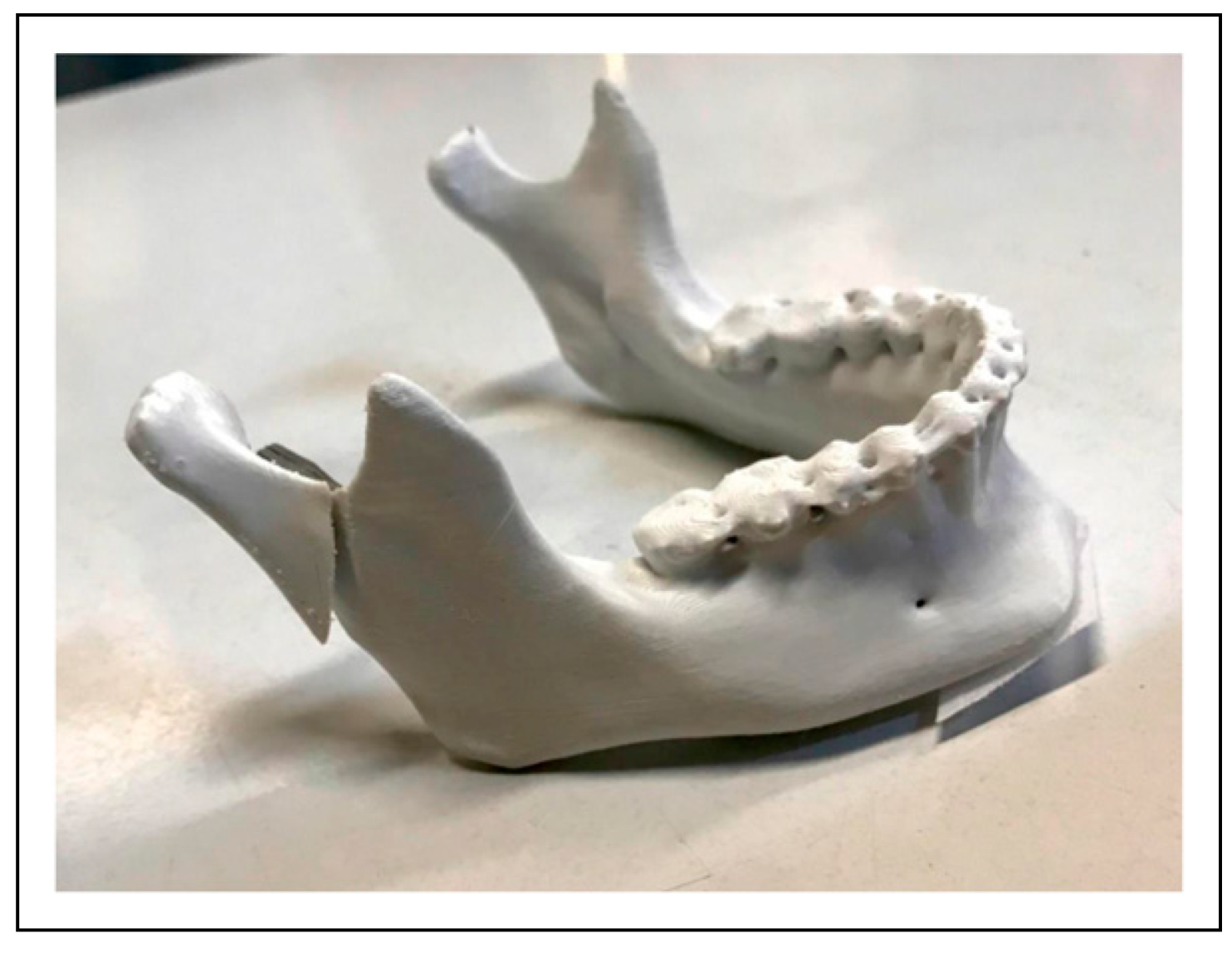 Cmtr 16 00033 g001 Cmtr 16 00033 g001