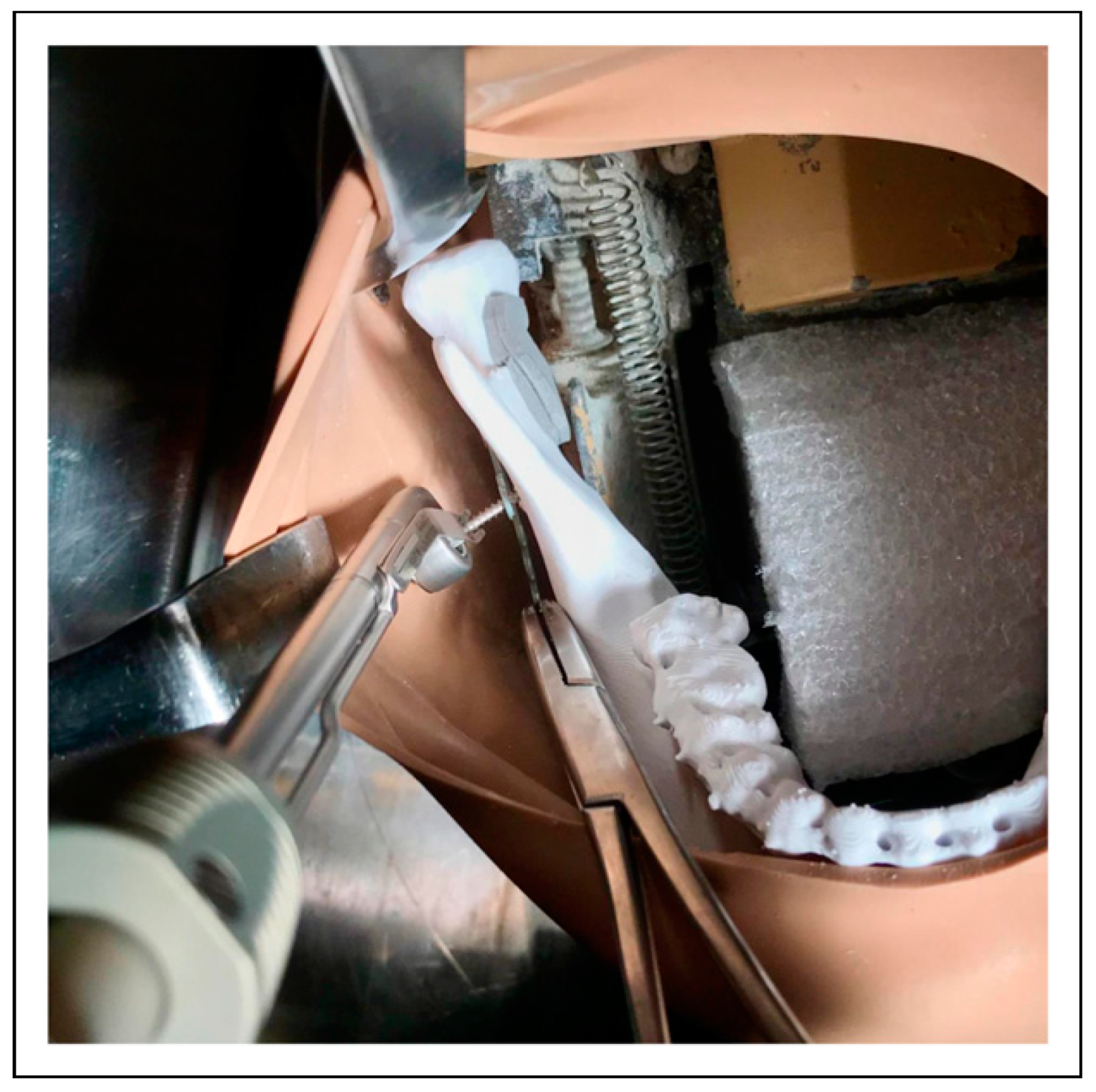 Cmtr 16 00033 g002 Cmtr 16 00033 g002