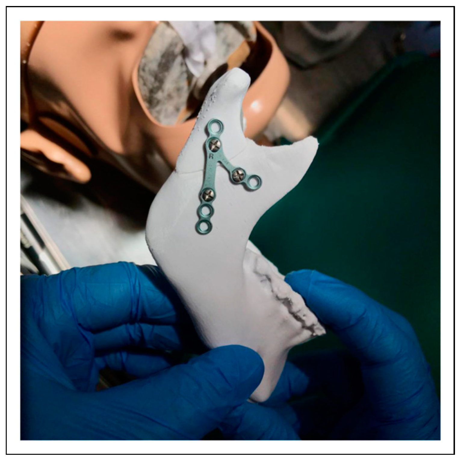 Cmtr 16 00033 g003 Cmtr 16 00033 g003