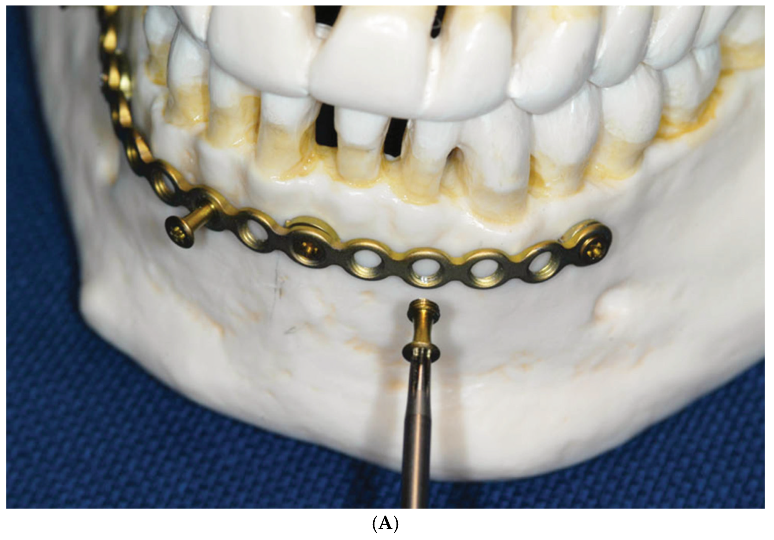 Cmtr 18 00032 g002a Cmtr 18 00032 g002a