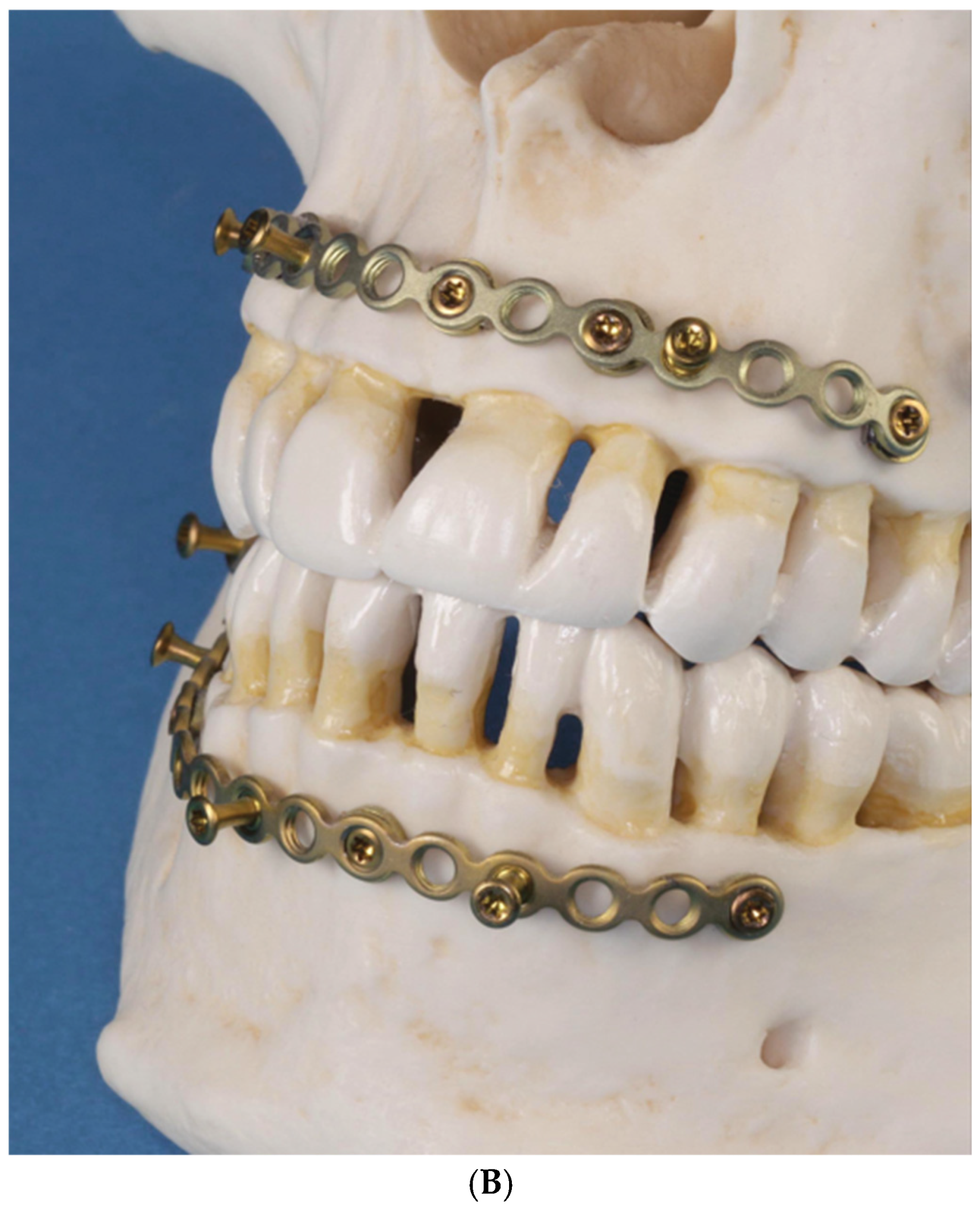 Cmtr 18 00032 g002b Cmtr 18 00032 g002b