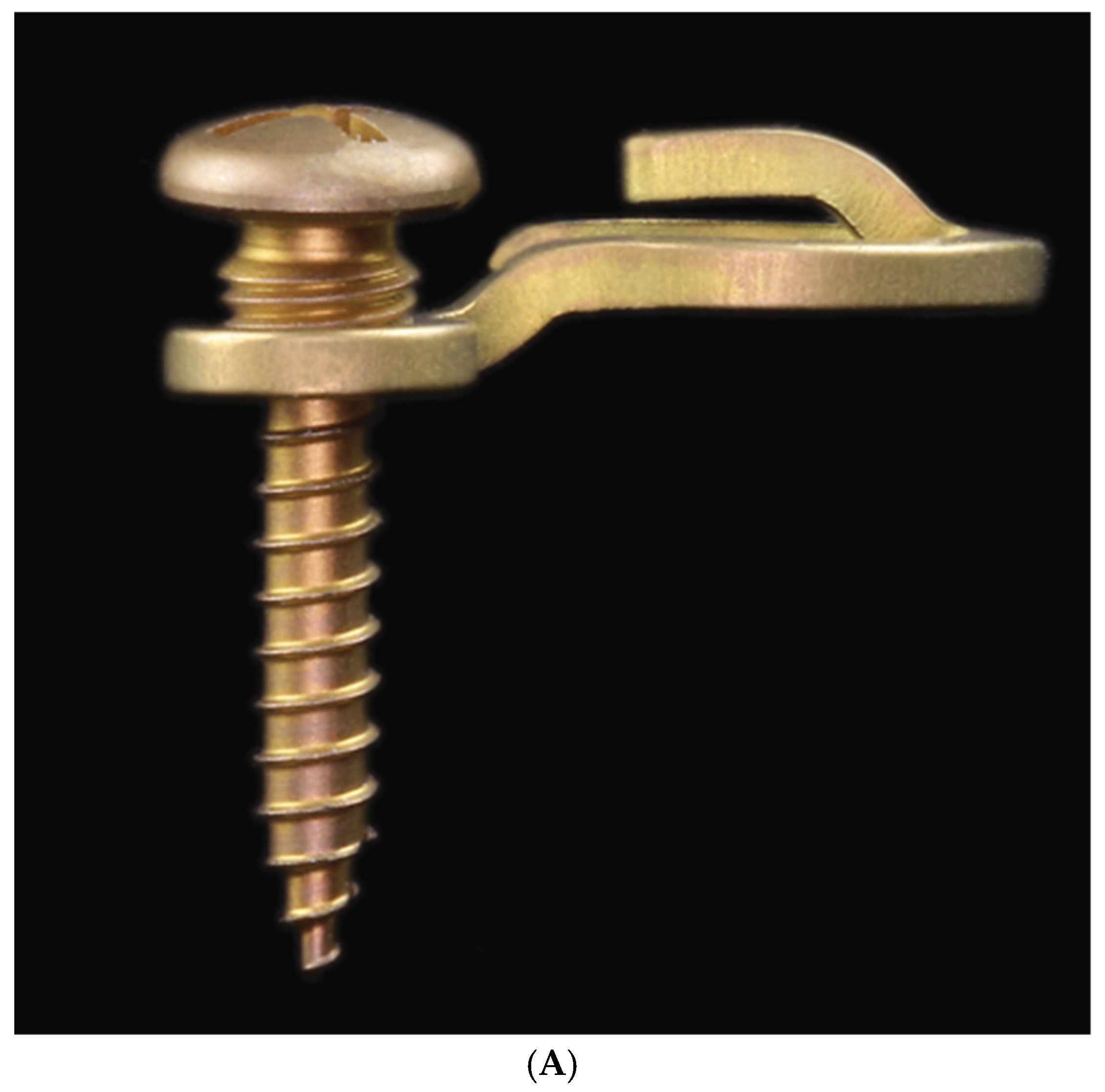 Cmtr 18 00032 g010a Cmtr 18 00032 g010a