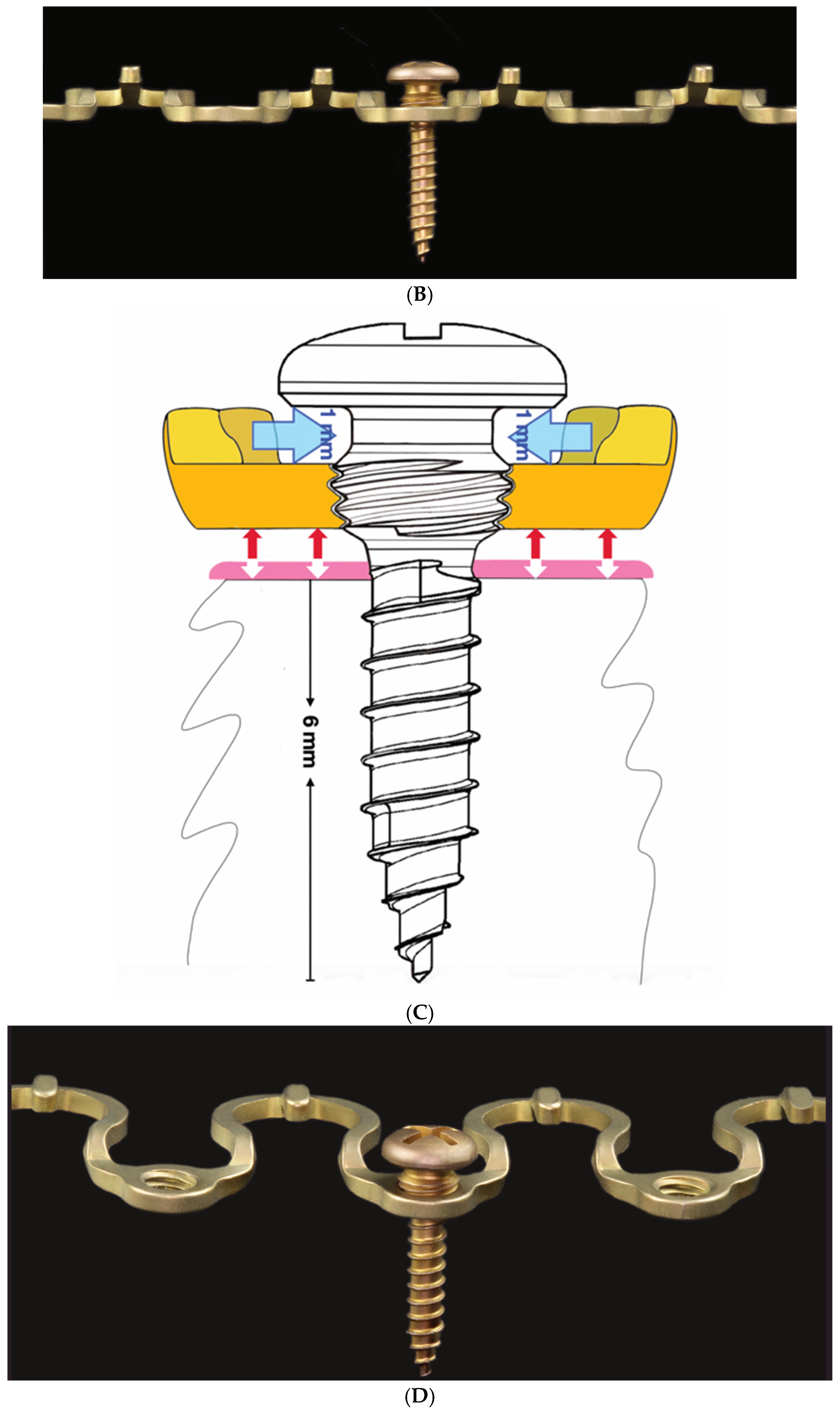Cmtr 18 00032 g010b Cmtr 18 00032 g010b