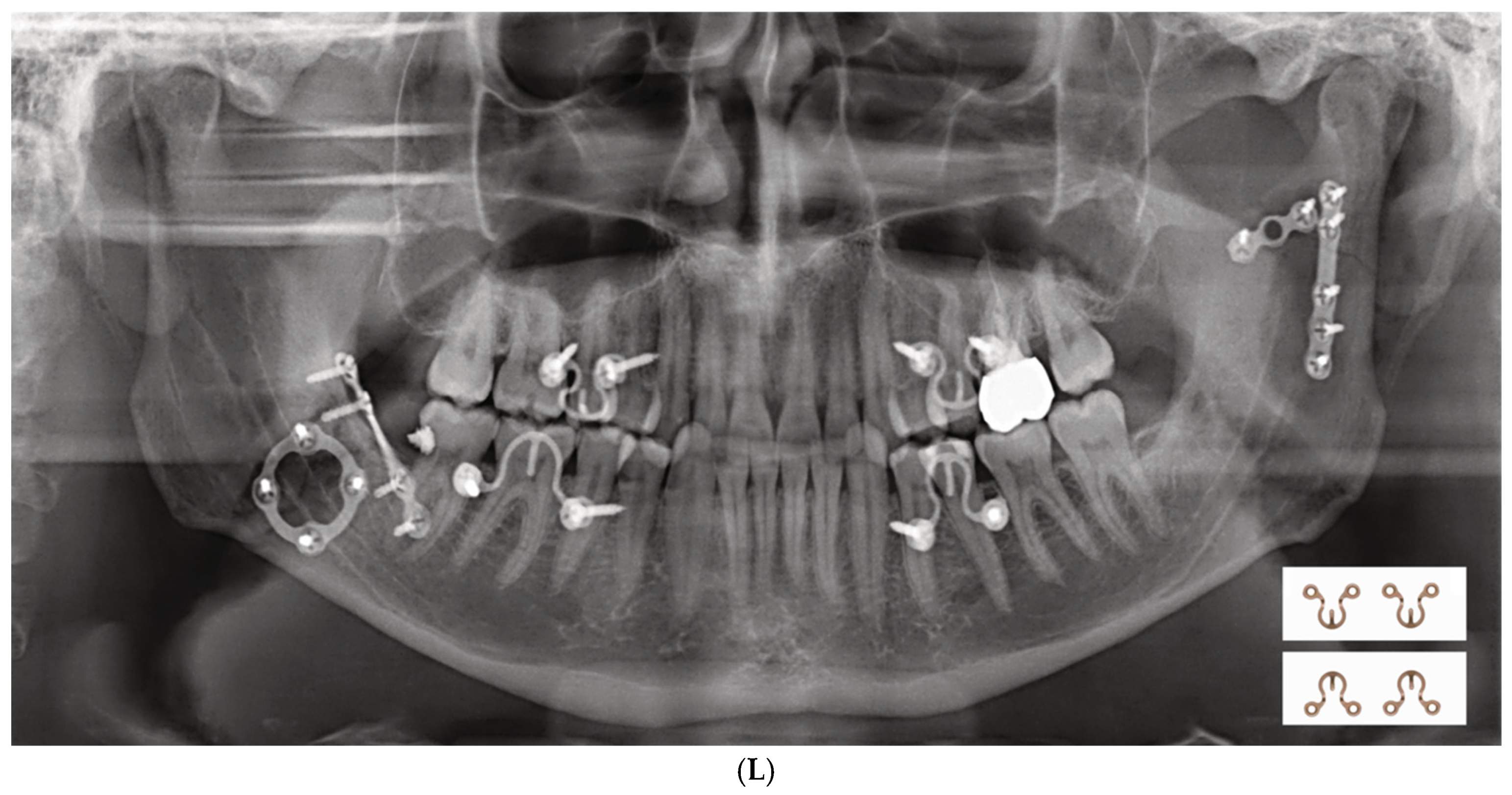 Cmtr 18 00032 g015c Cmtr 18 00032 g015c