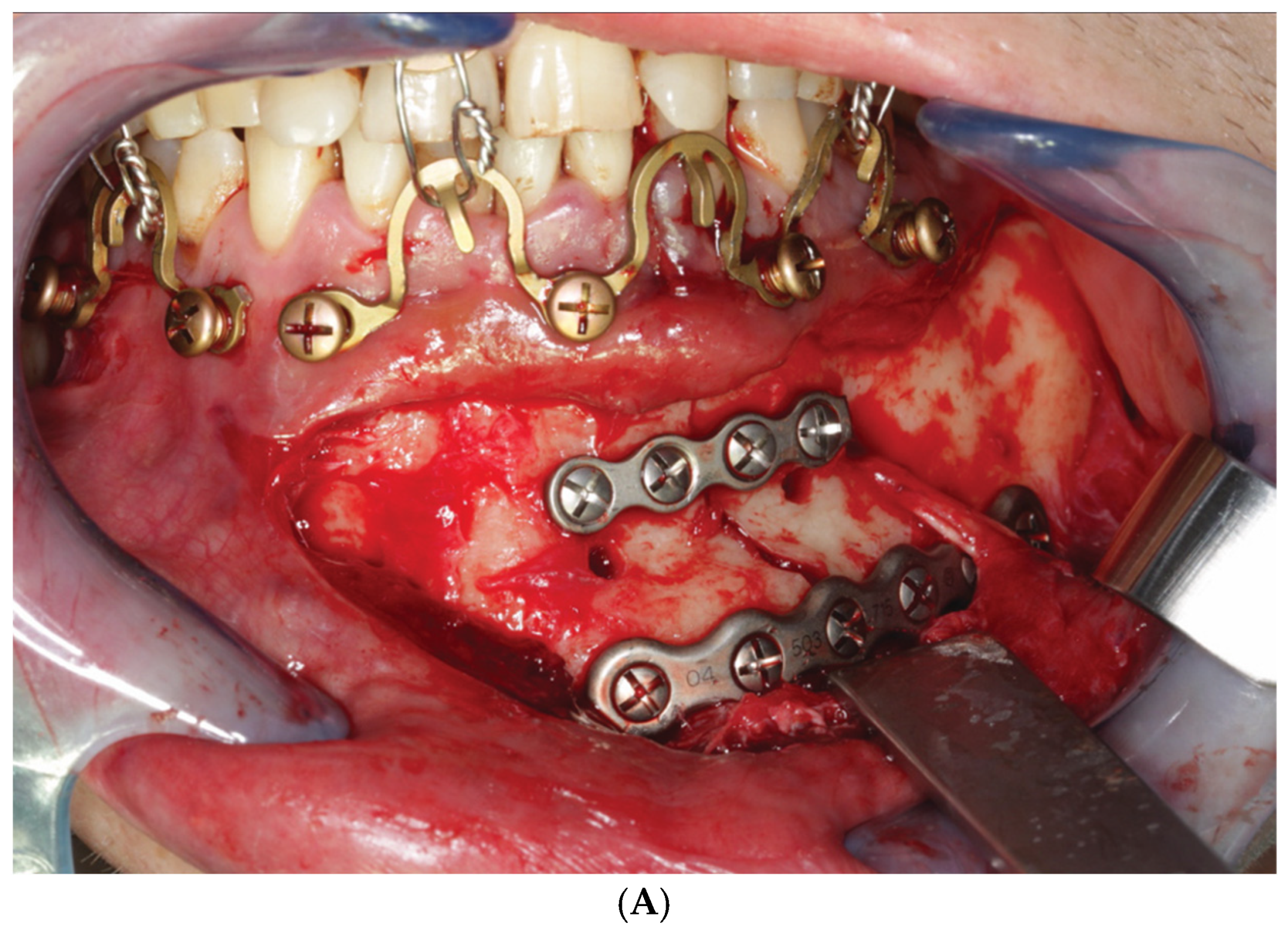 Cmtr 18 00032 g016a Cmtr 18 00032 g016a