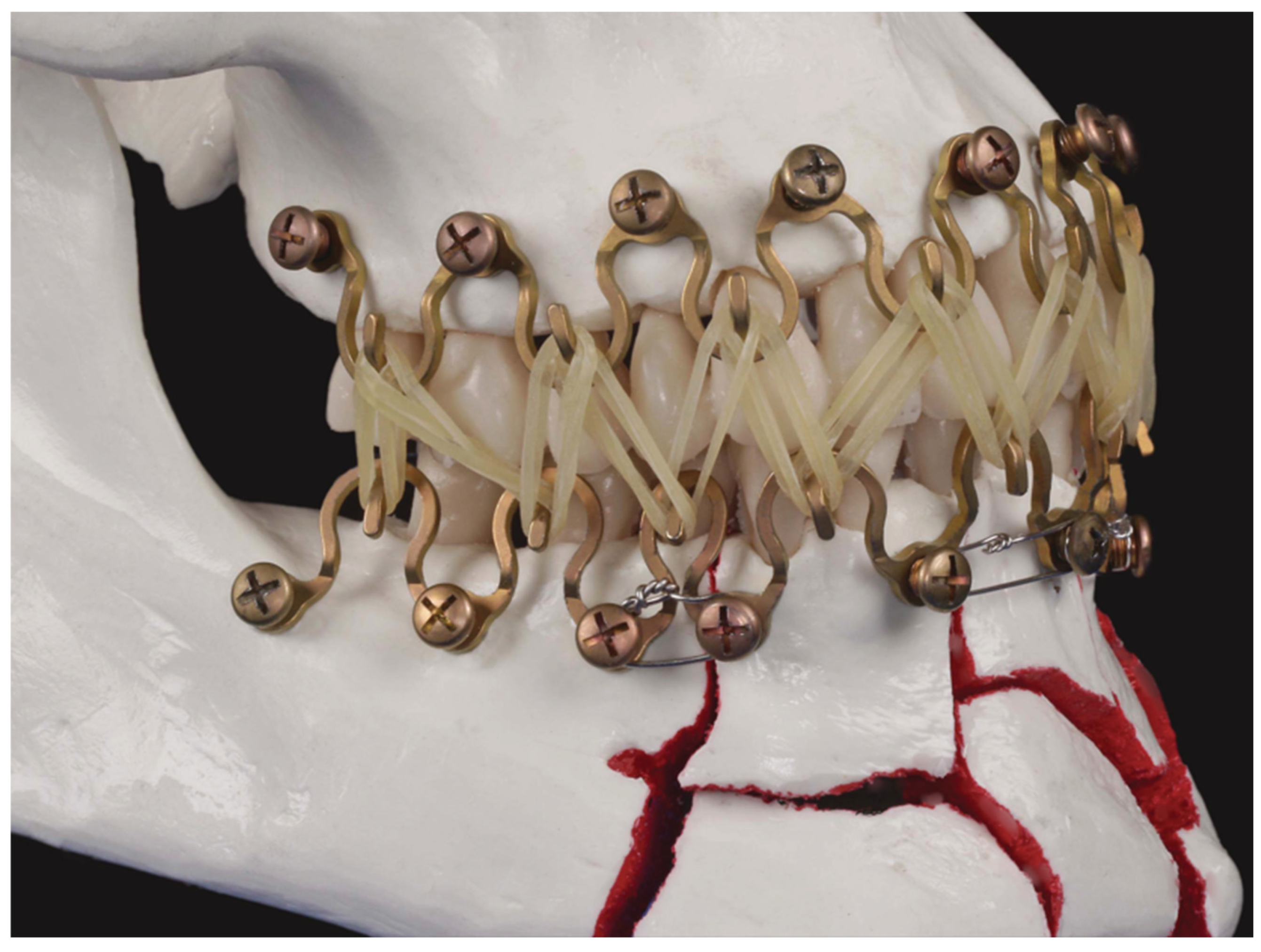 Cmtr 18 00032 g018 Cmtr 18 00032 g018