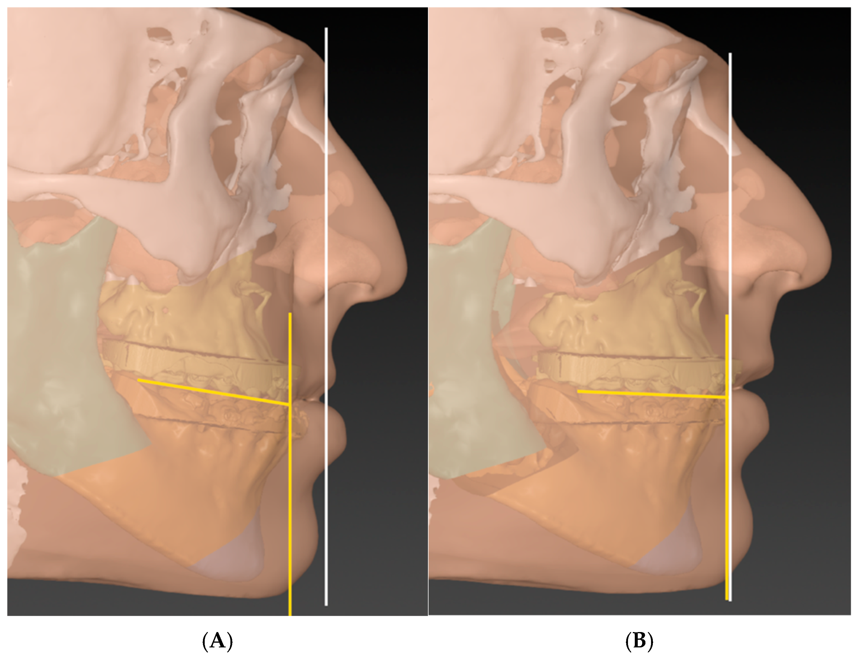 Cmtr 18 00045 g001 Cmtr 18 00045 g001