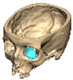 Cmtr 19 00008 i017 Cmtr 19 00008 i017