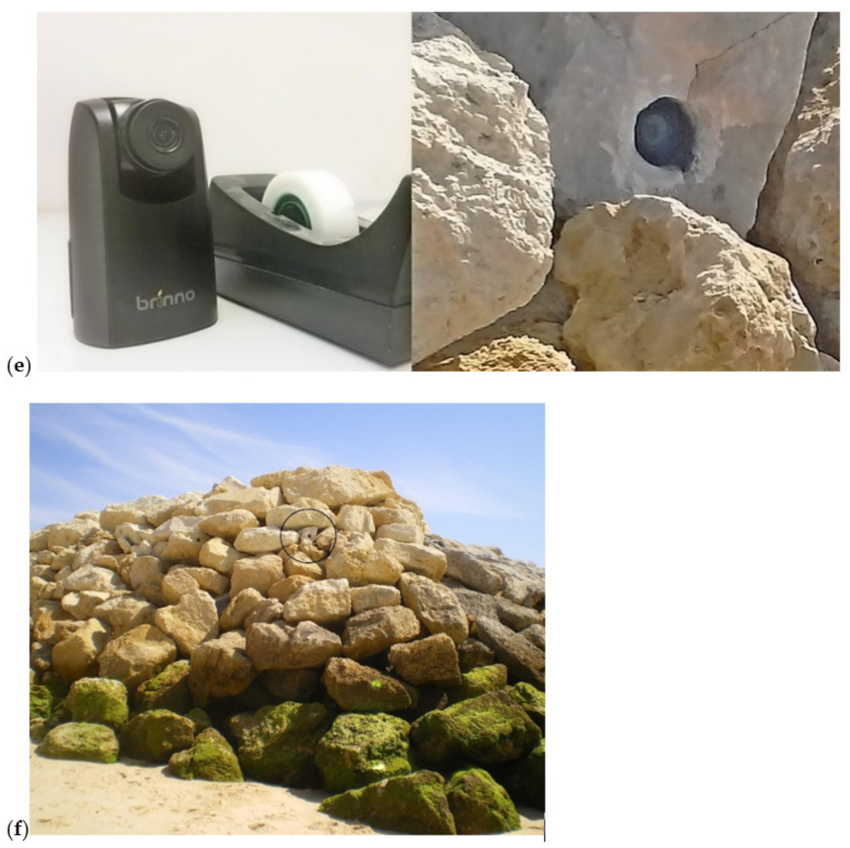 Coasts 02 00005 g006b 550