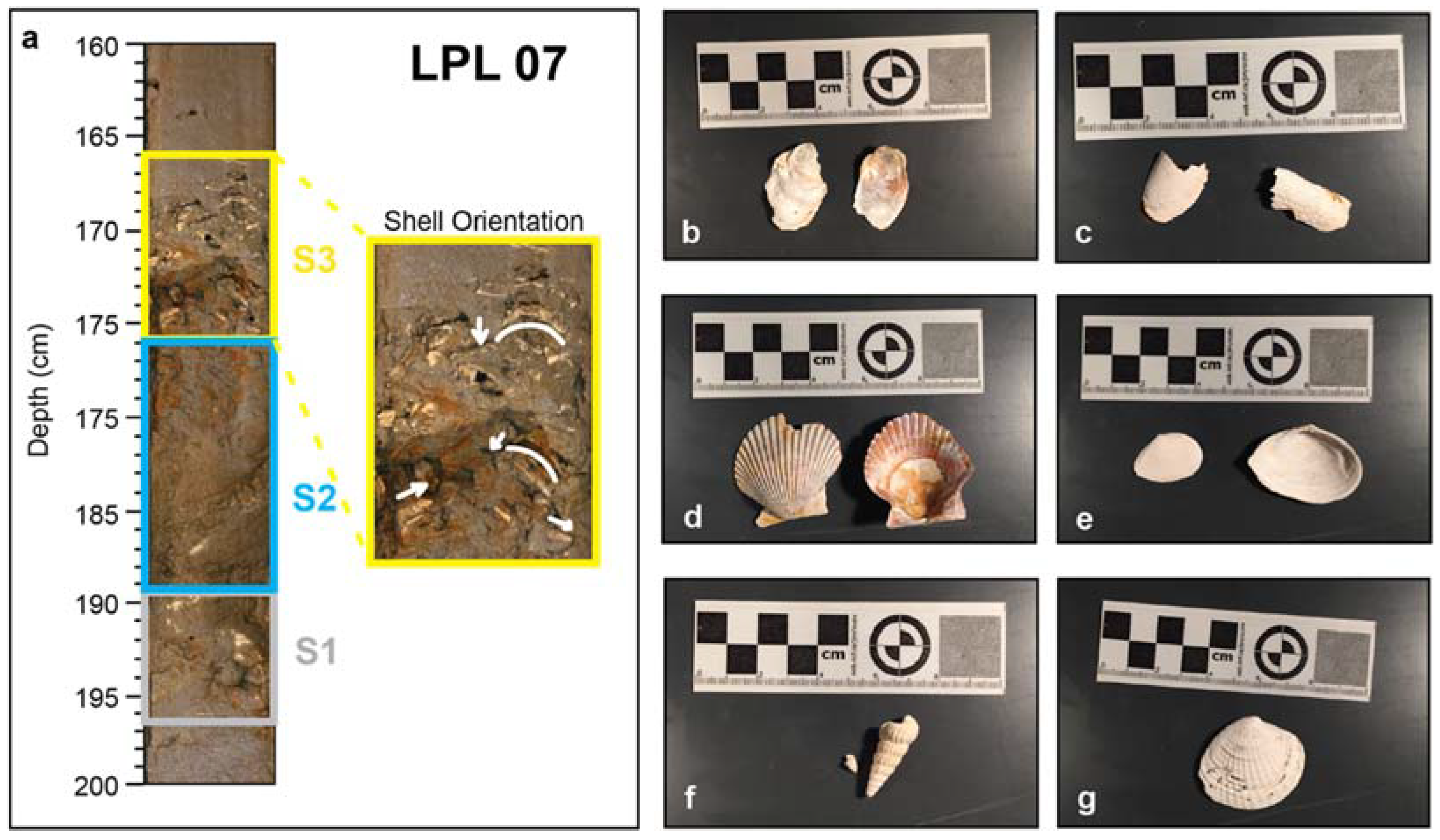 Coasts Free Full Text Documenting The Evolution Of A Southern California Coastal Lagoon During The Late Holocene Html