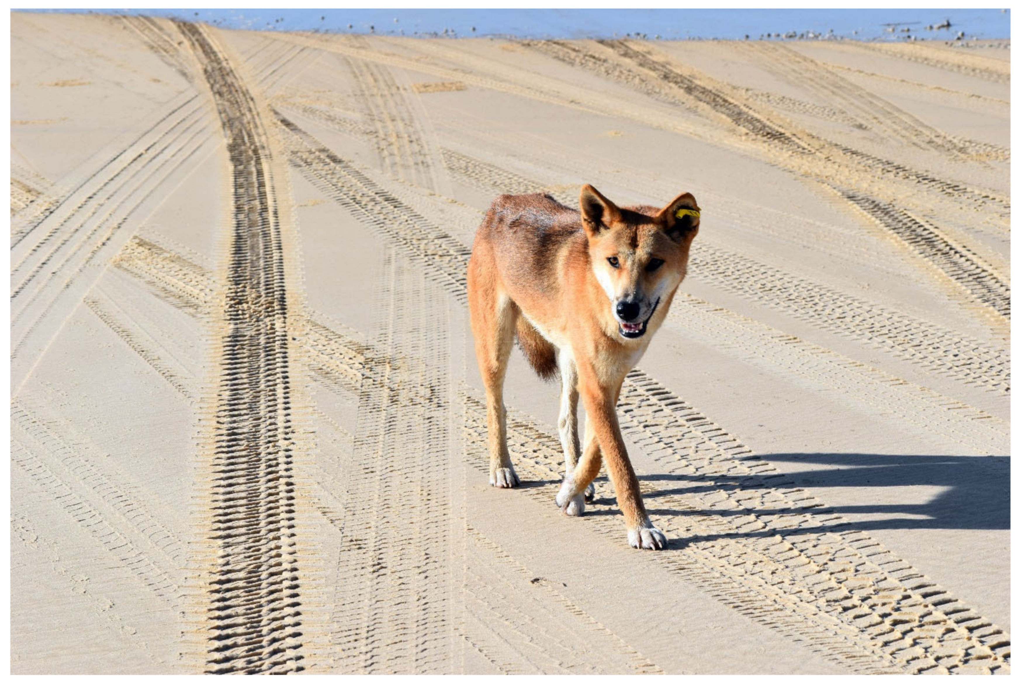 Coasts 02 00009 g009