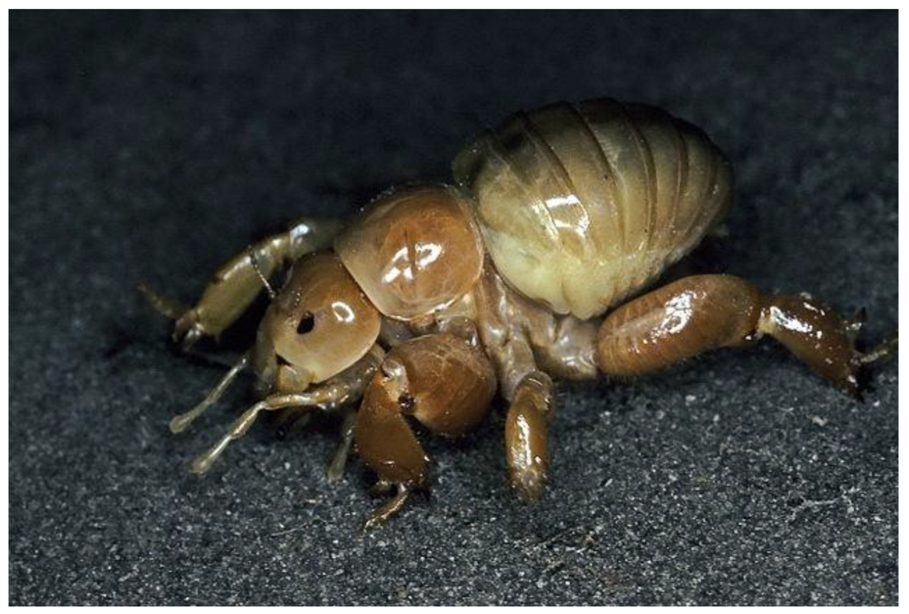 Coasts 02 00009 g010