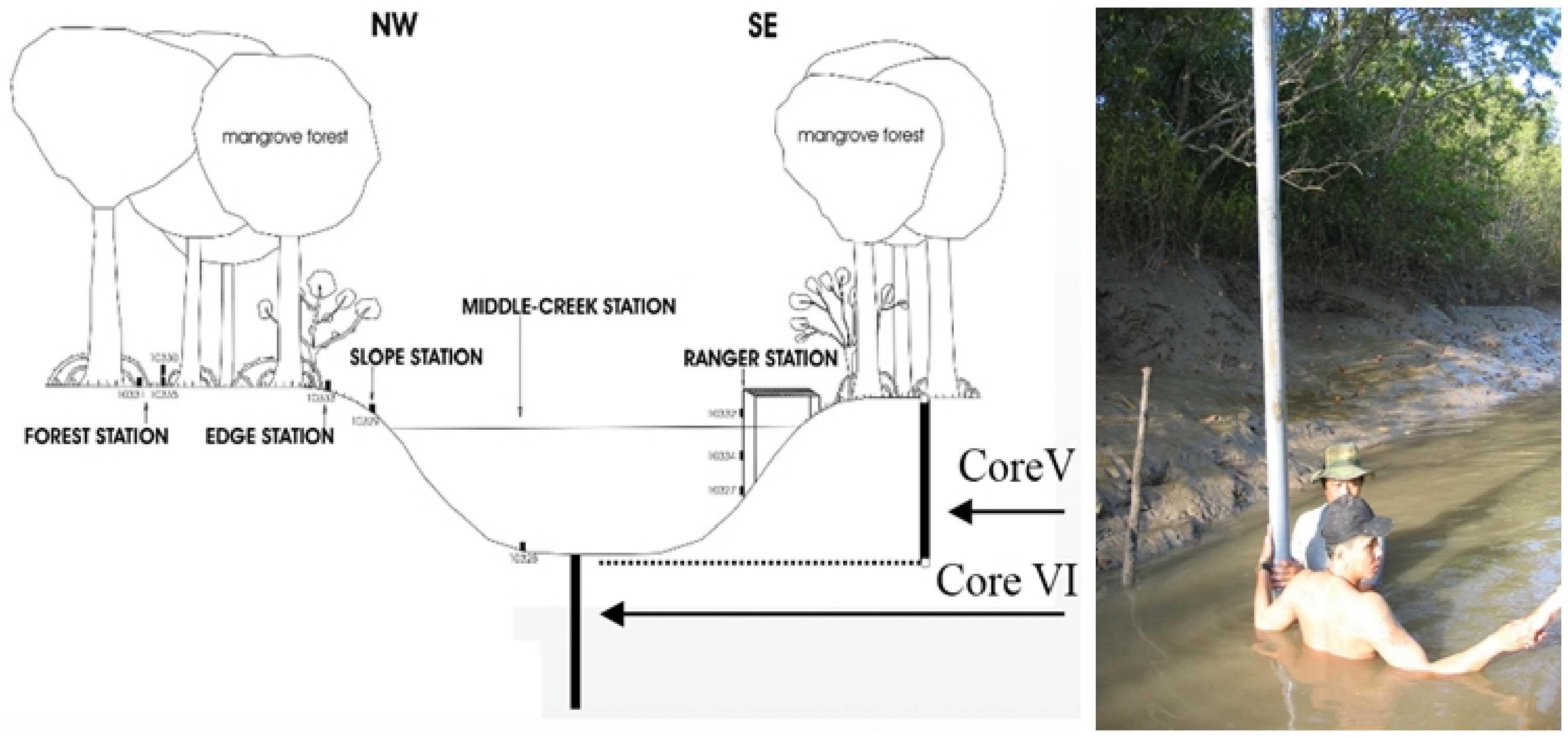 Coasts 02 00011 g004 550