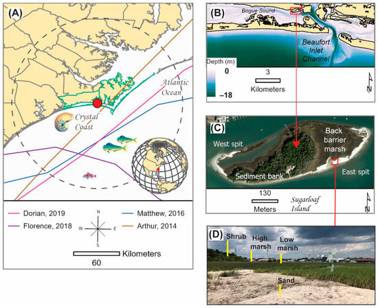 Study predicts faster retreat of barrier islands