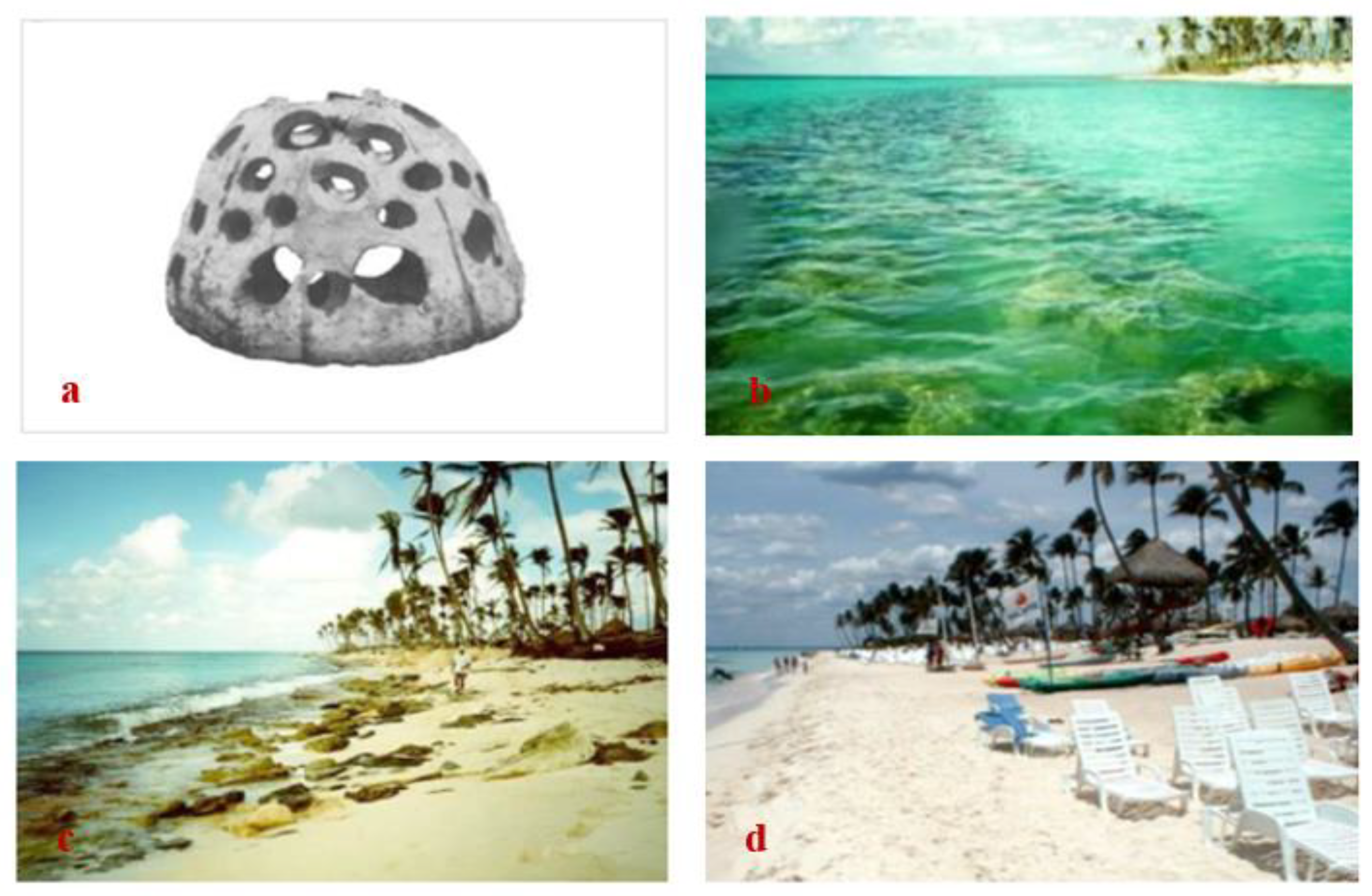 Coasts 03 00013 g007 Coasts 03 00013 g007