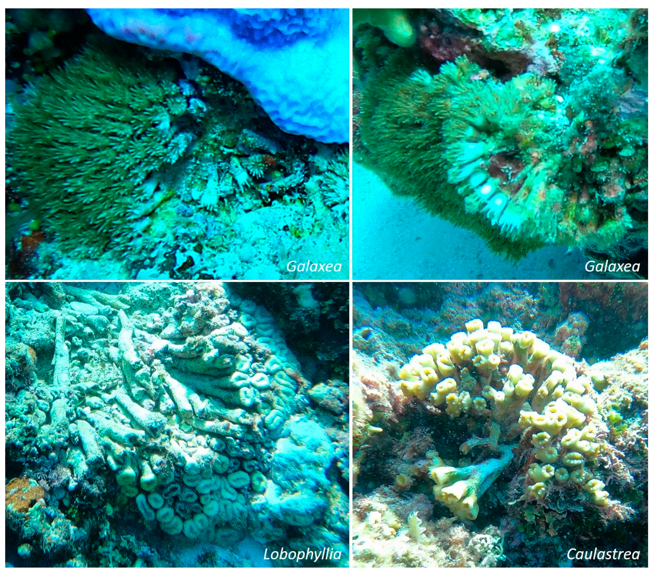 Coasts 03 00022 g007