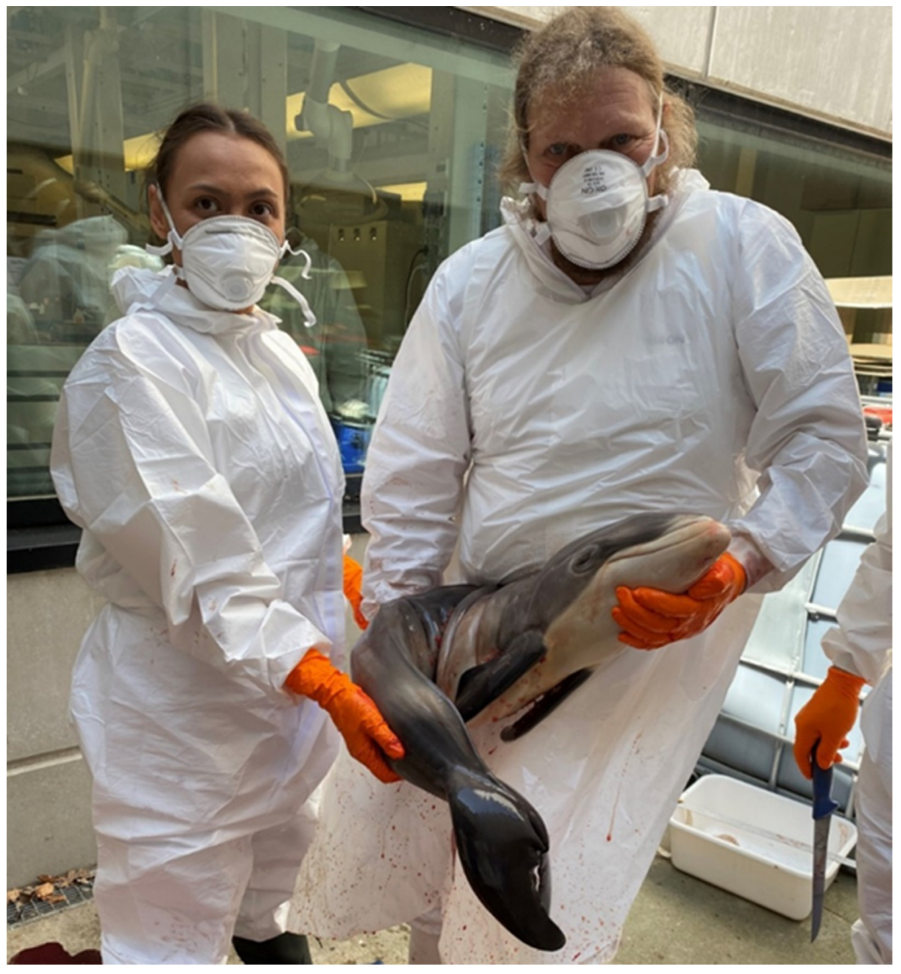 Coasts 04 00013 g001