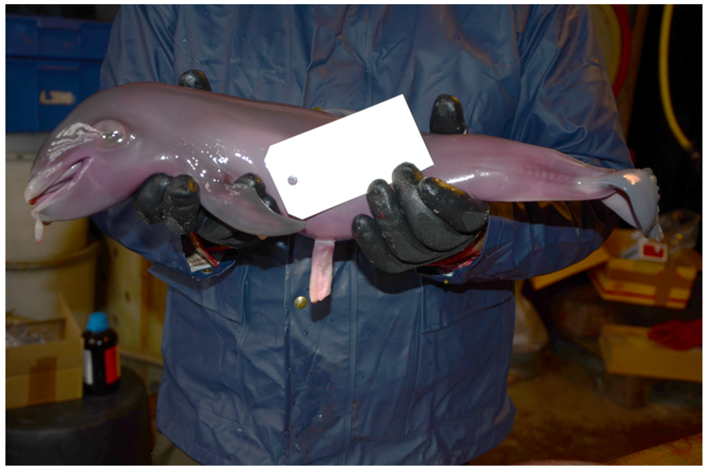 Coasts 04 00013 g005