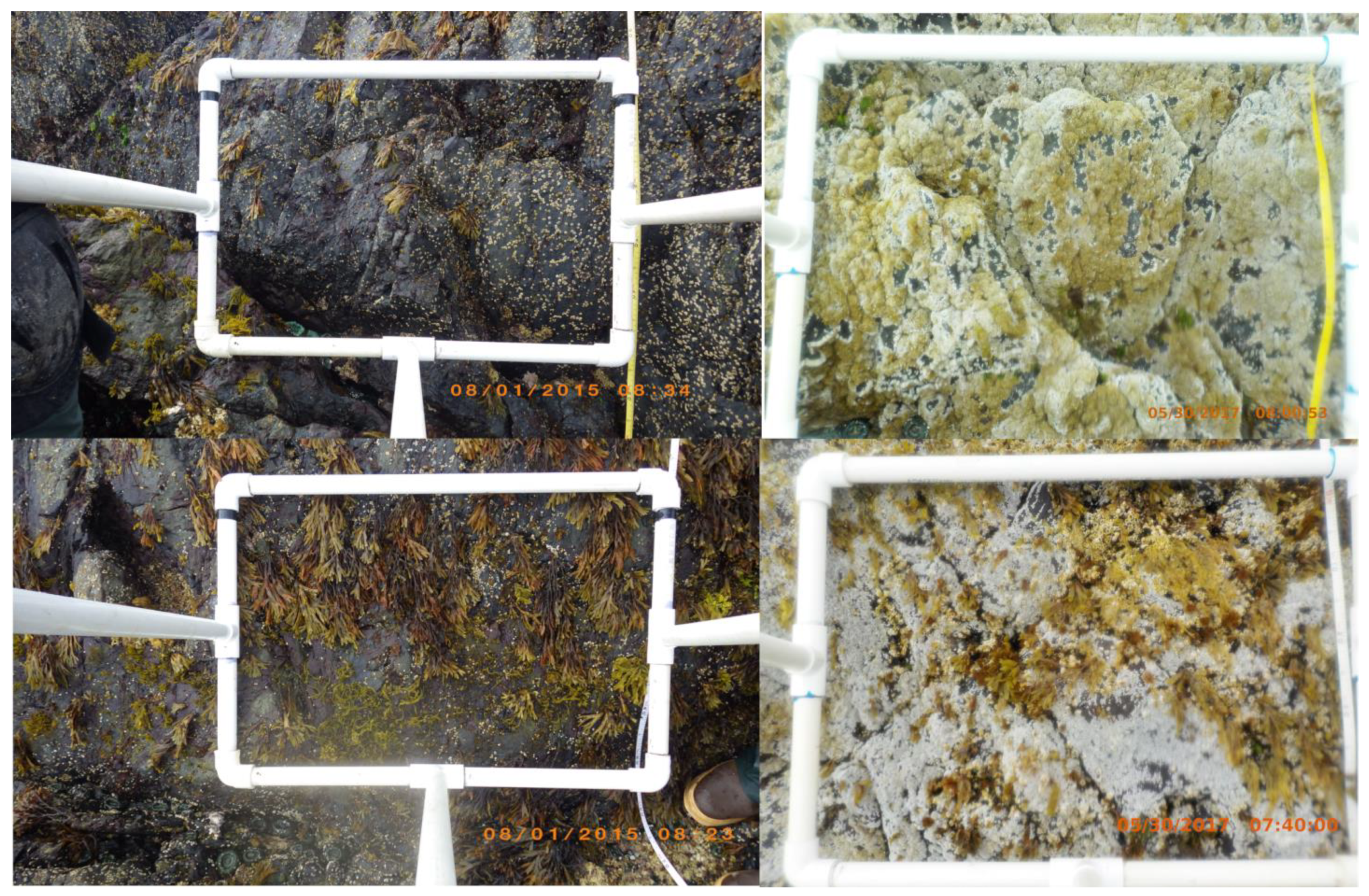 Coasts 04 00017 g002