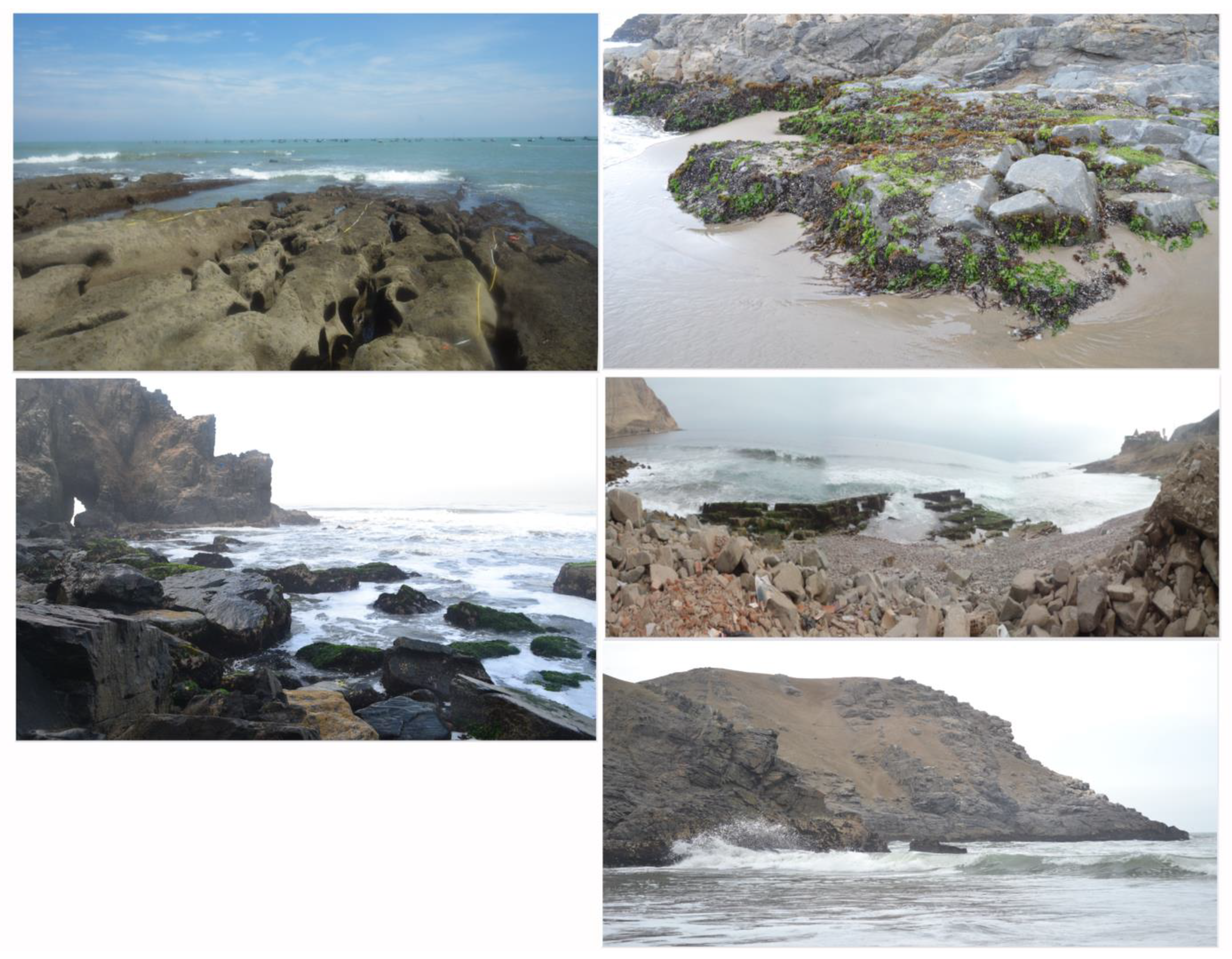 Coasts 04 00017 g004