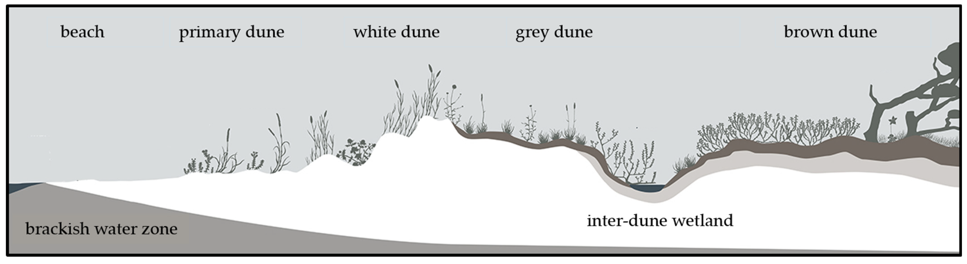 Coasts 04 00022 g001