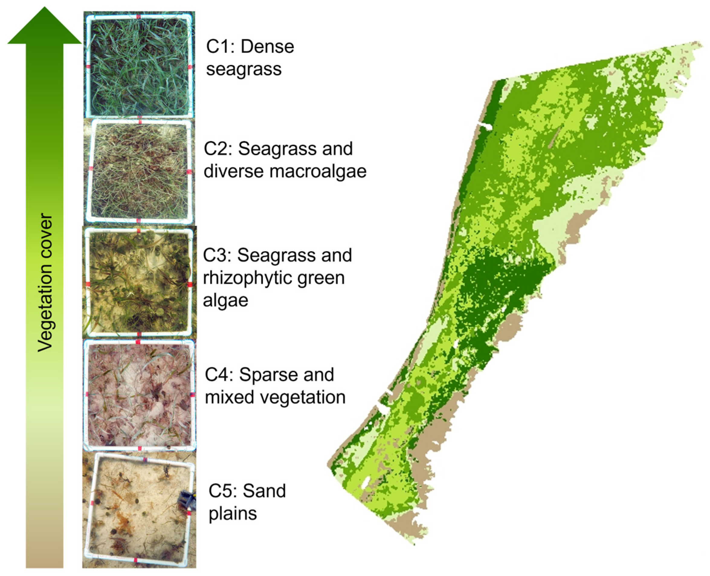 Coasts 05 00008 g003