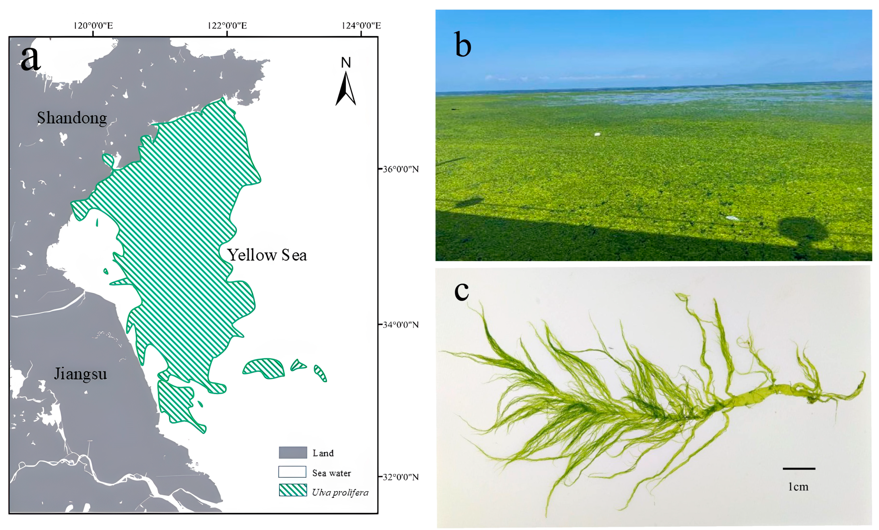 Coasts 05 00010 g001