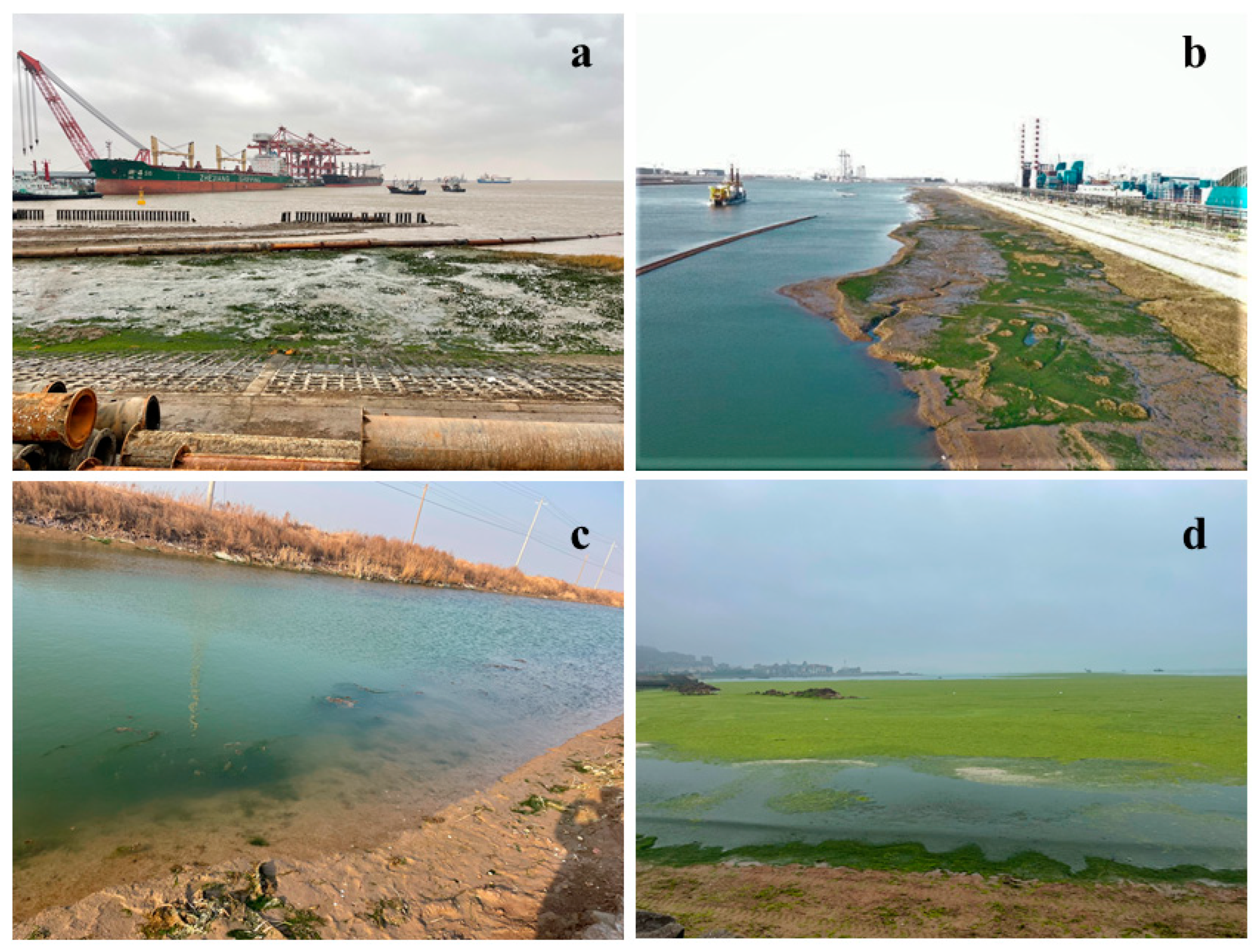 Coasts 05 00010 g003