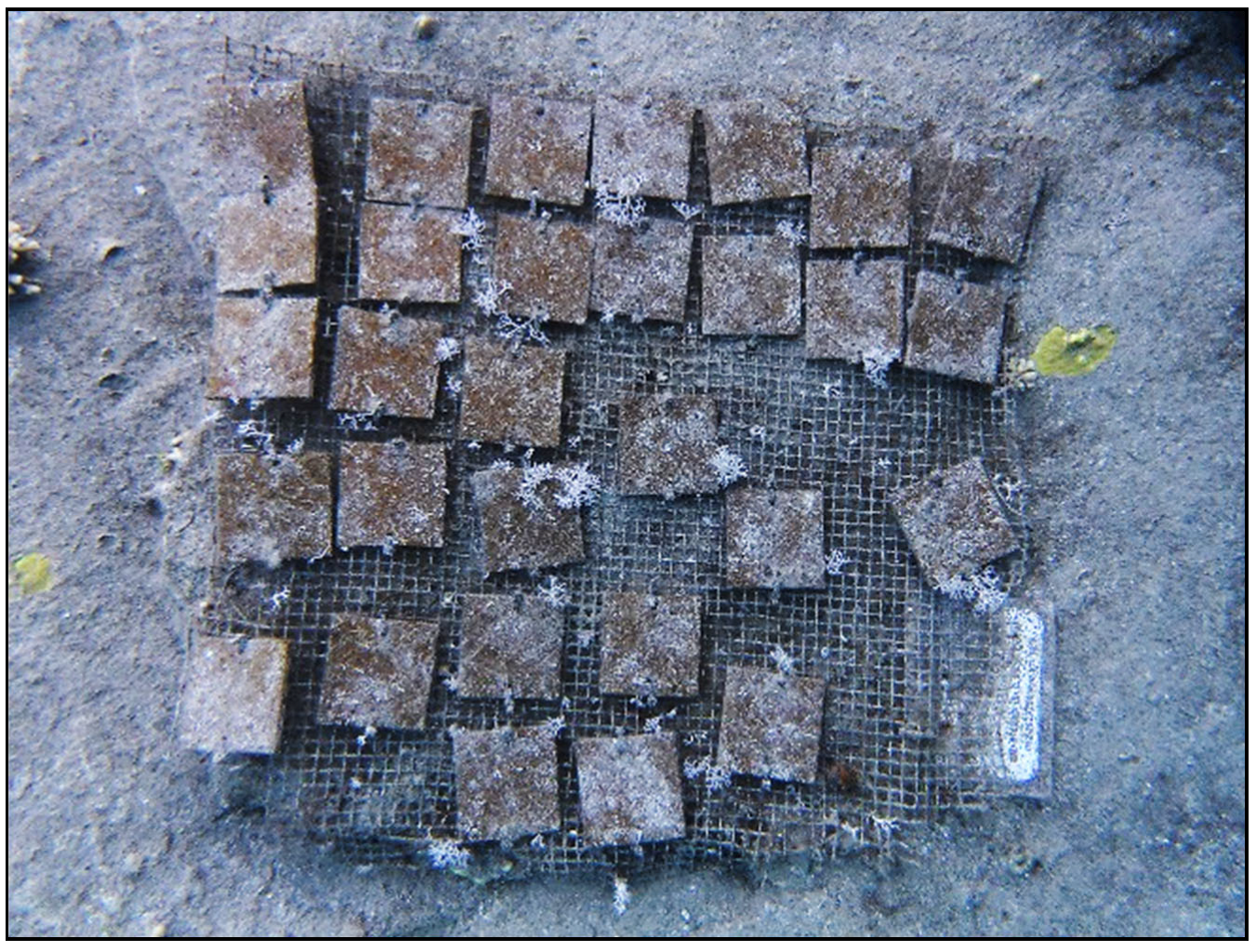 Coasts 05 00018 g003 Coasts 05 00018 g003