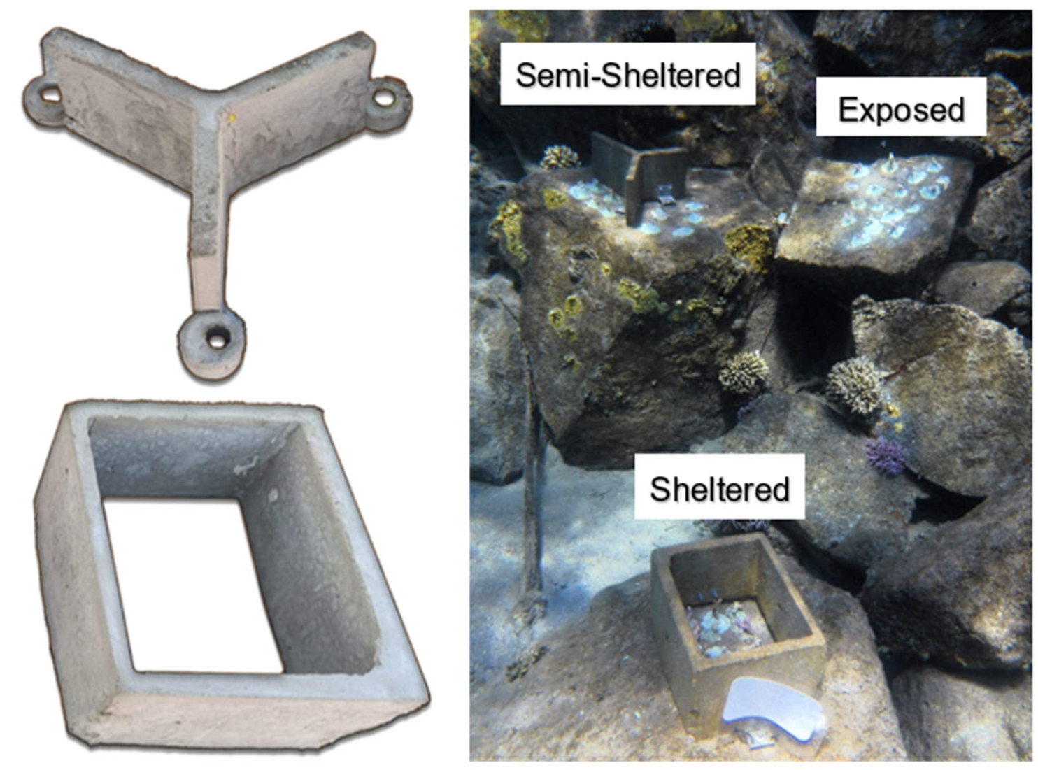 Coasts 05 00018 g004 Coasts 05 00018 g004