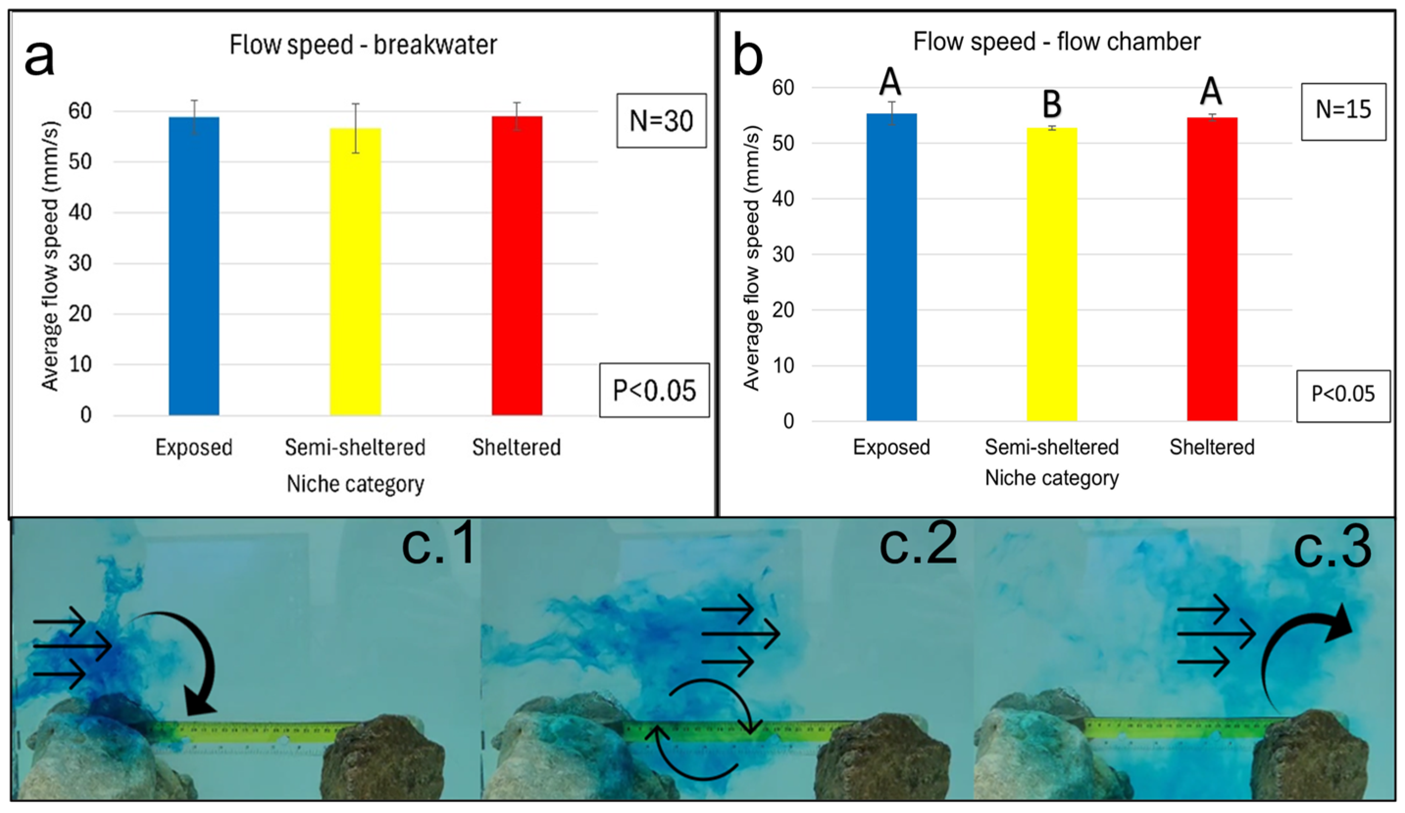 Coasts 05 00018 g011 Coasts 05 00018 g011