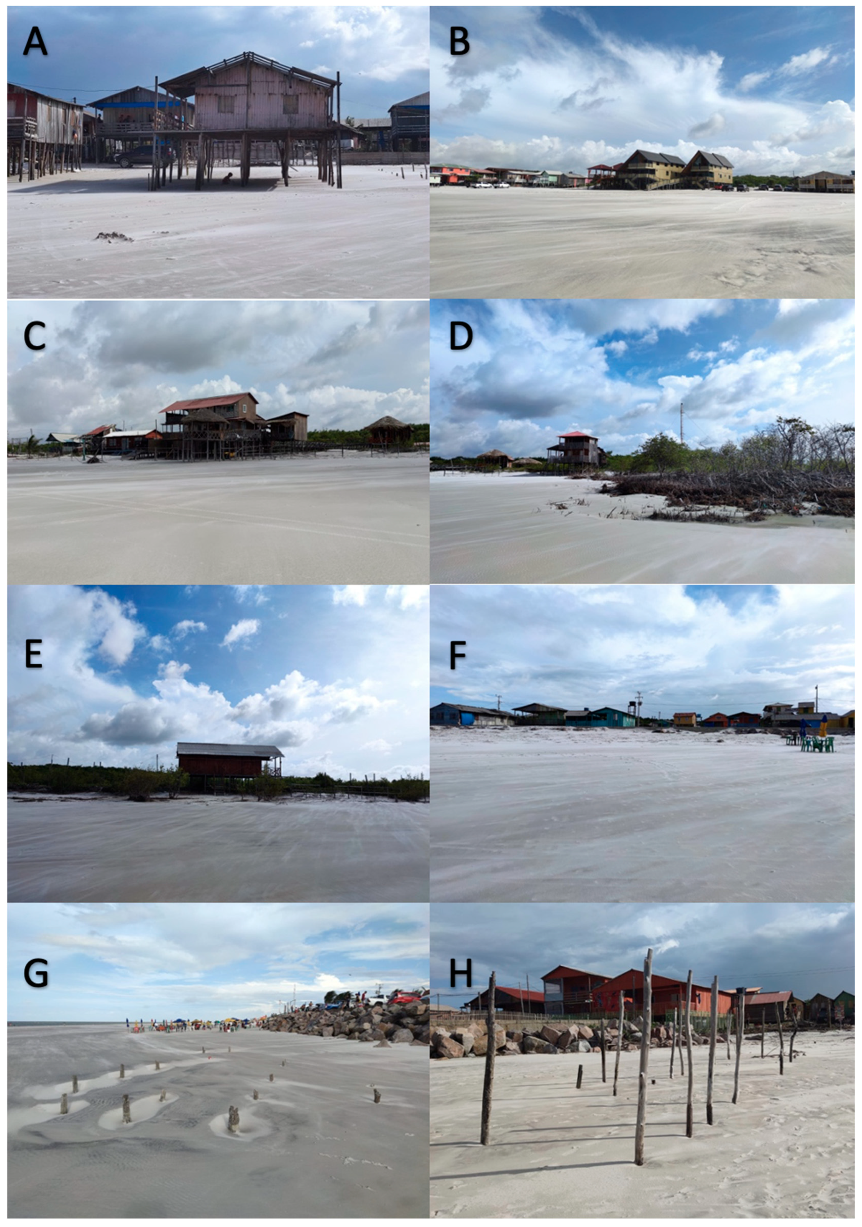 Coasts 05 00029 g009