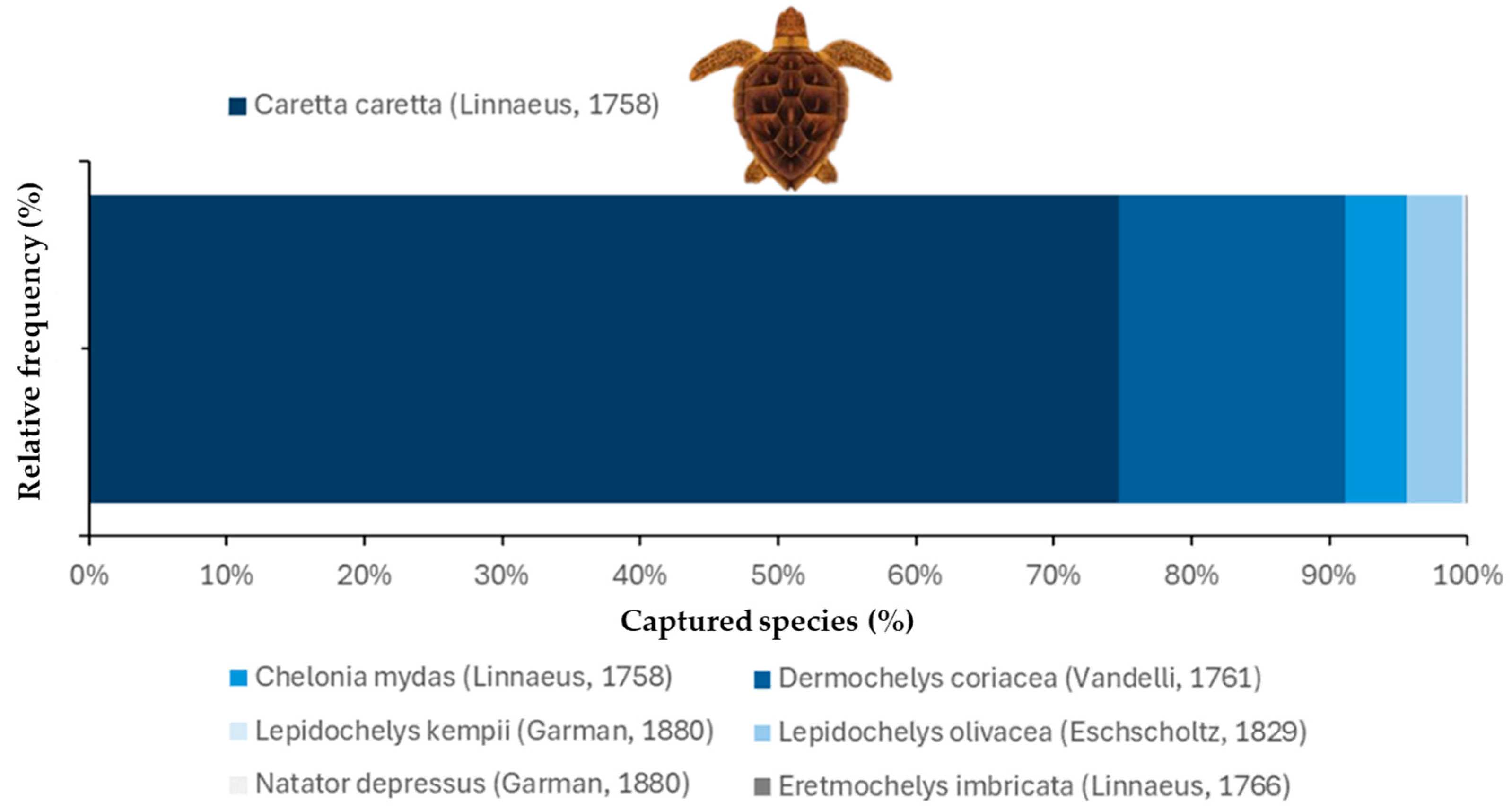 Coasts 06 00002 g004