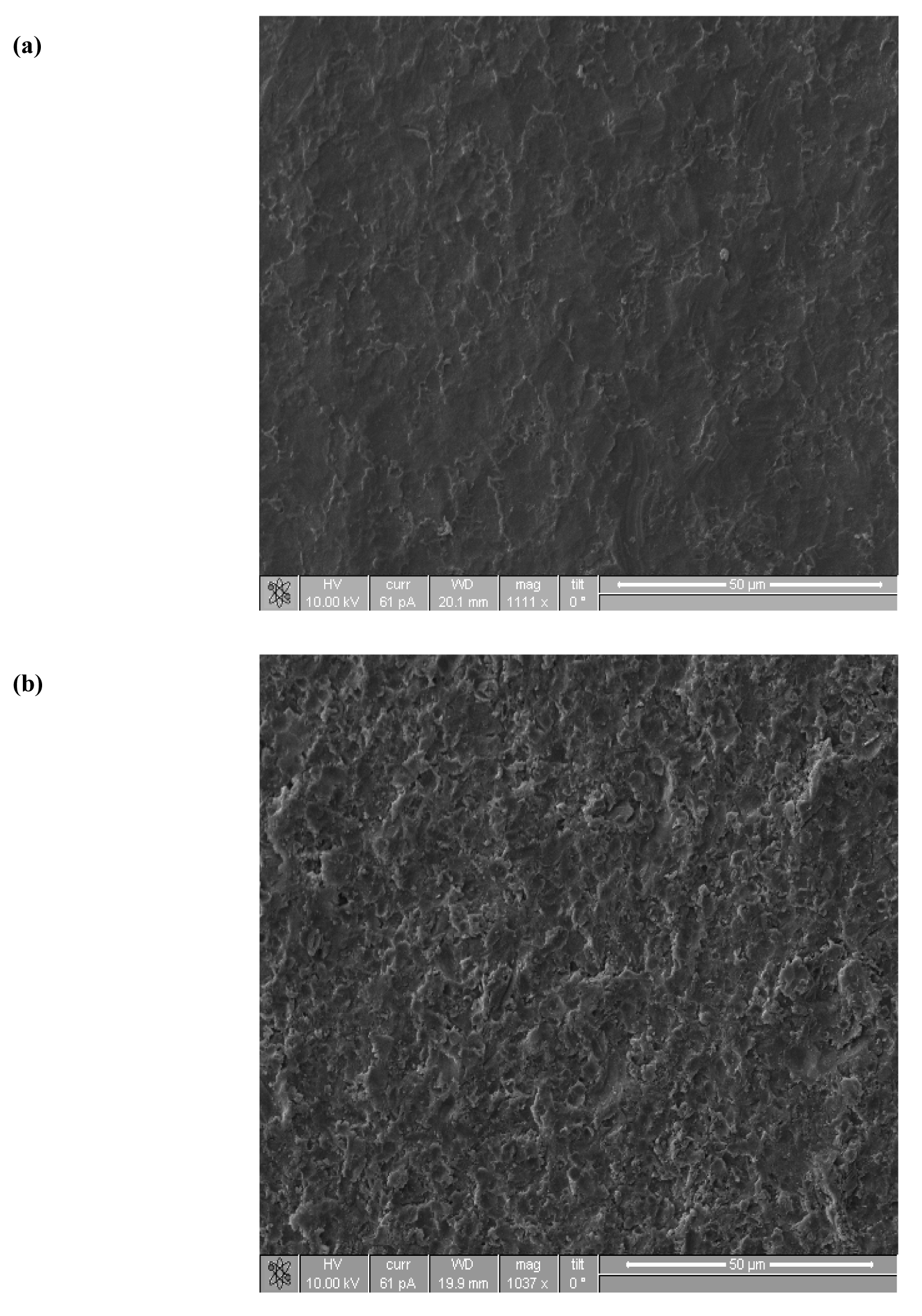 Coatings 01 00053f3a 1024