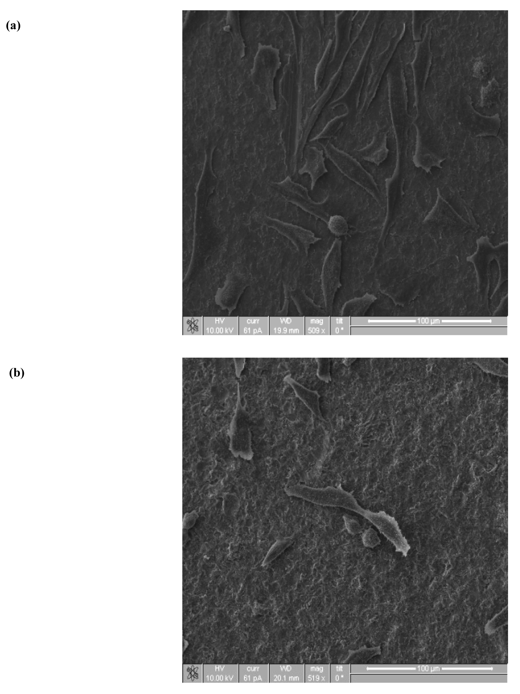Coatings 01 00053f8a 1024