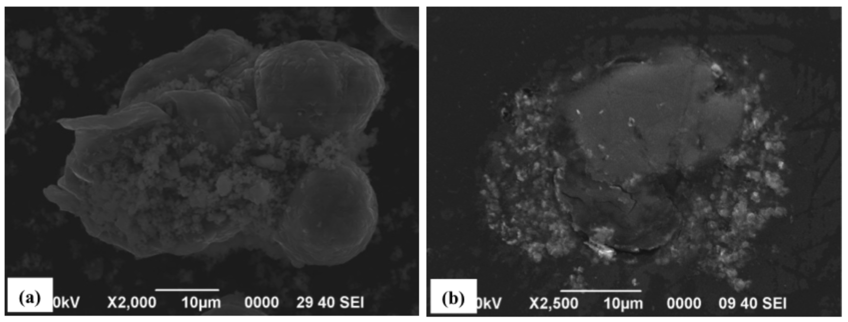 Coatings 01 00088f4 1024
