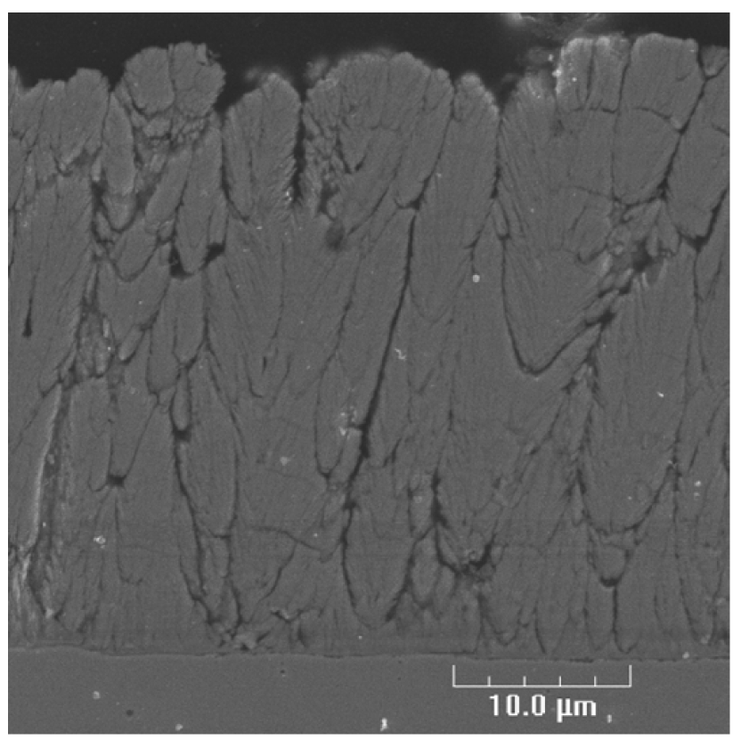 Coatings 01 00117f8 1024