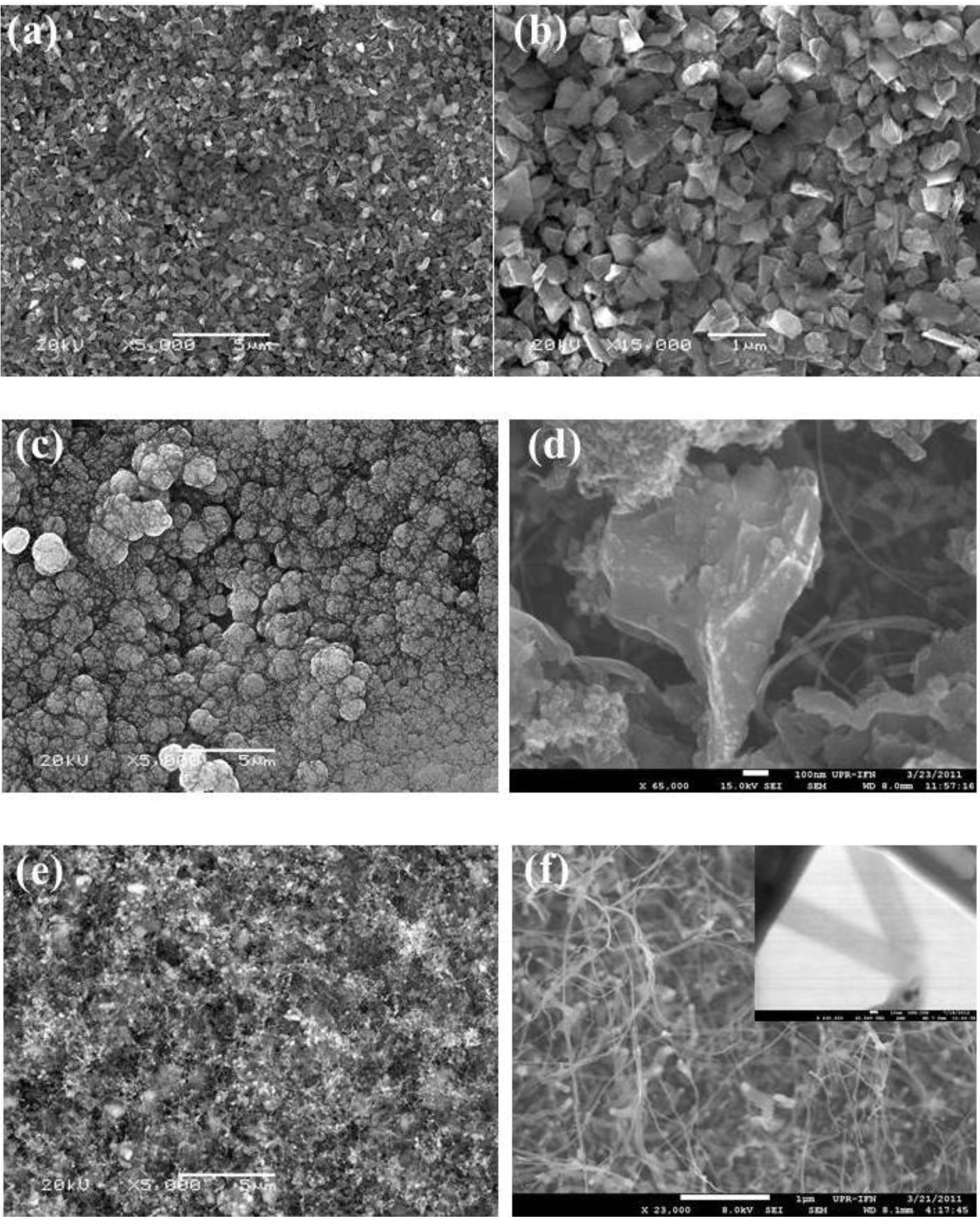 Coatings 03 00243 g002 1024