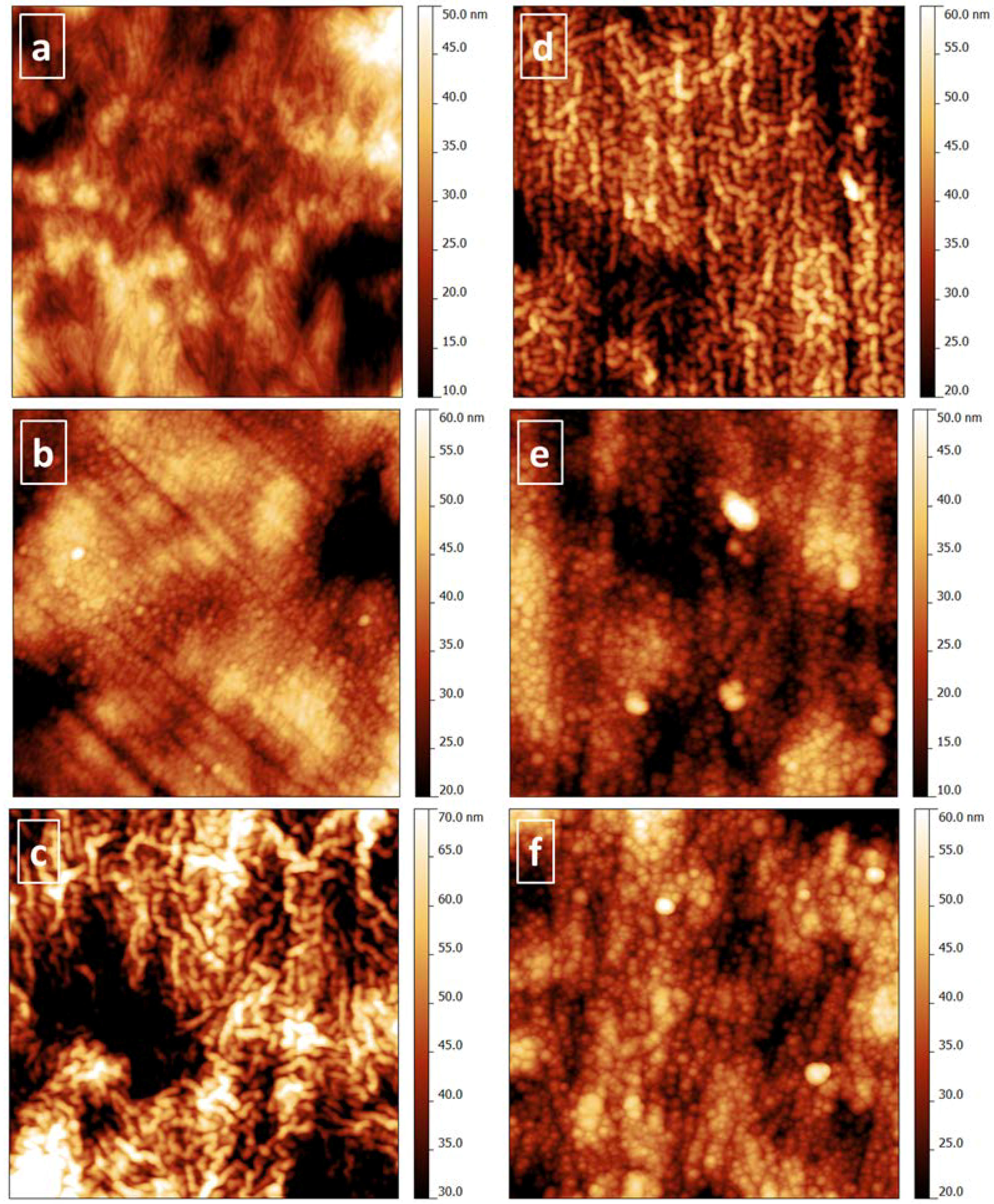 Coatings 03 00268 g007 1024