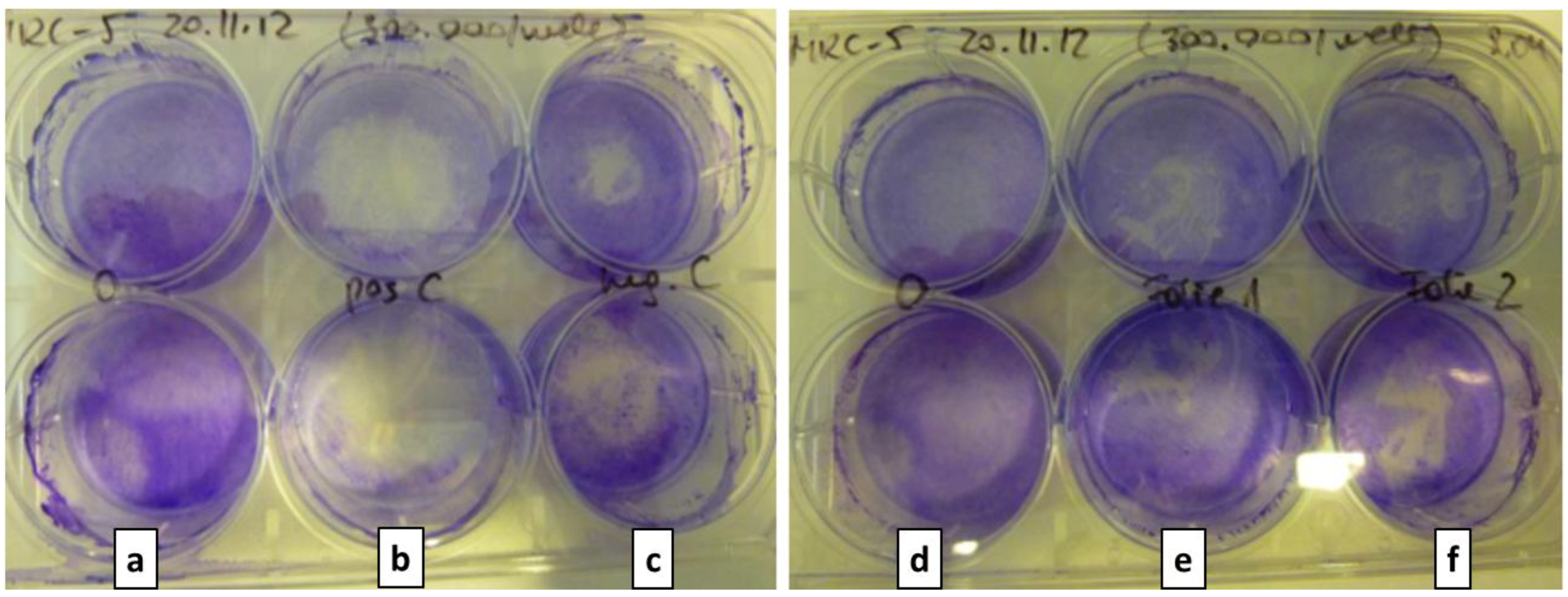 Coatings 03 00268 g010 1024