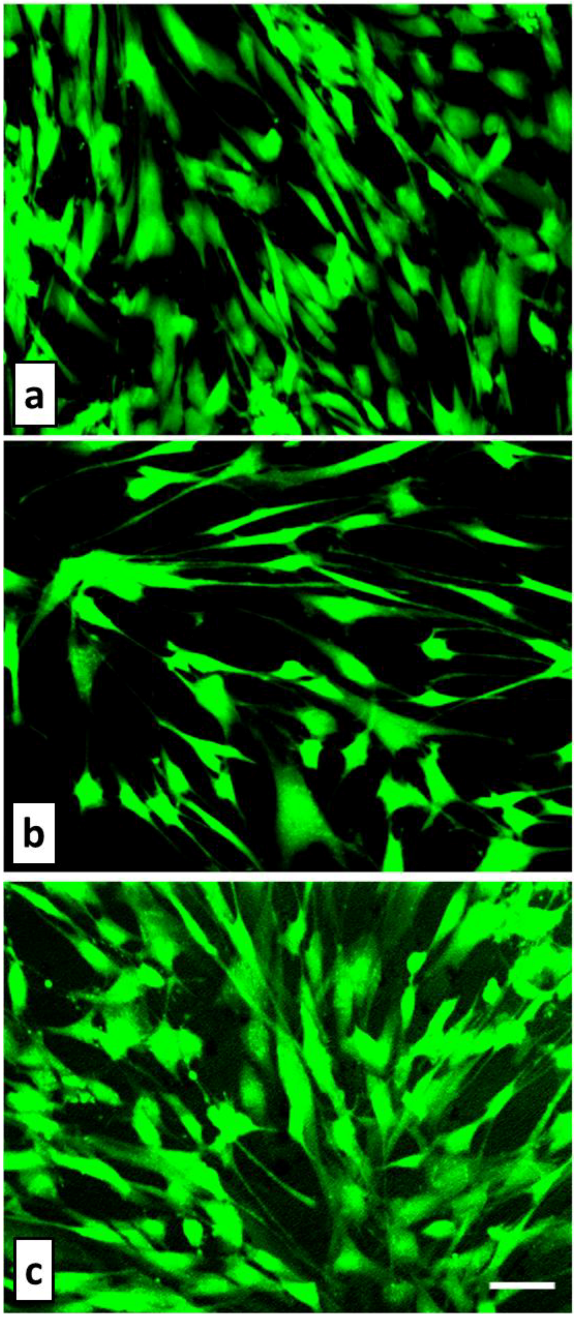 Coatings 03 00268 g013 1024